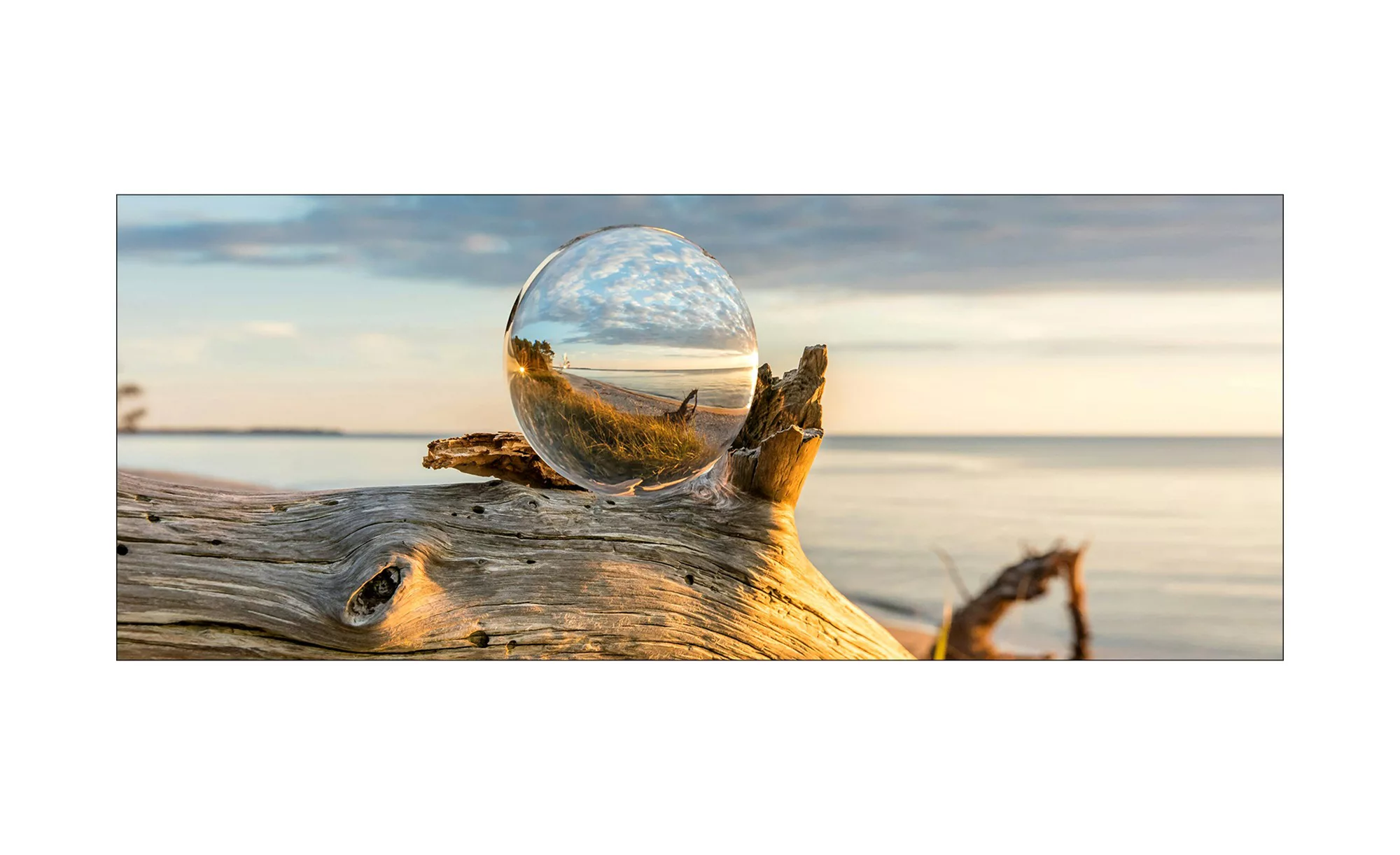 Glasbild 80x30 cm  Drop on Wood - 80 cm - 30 cm - Sconto günstig online kaufen