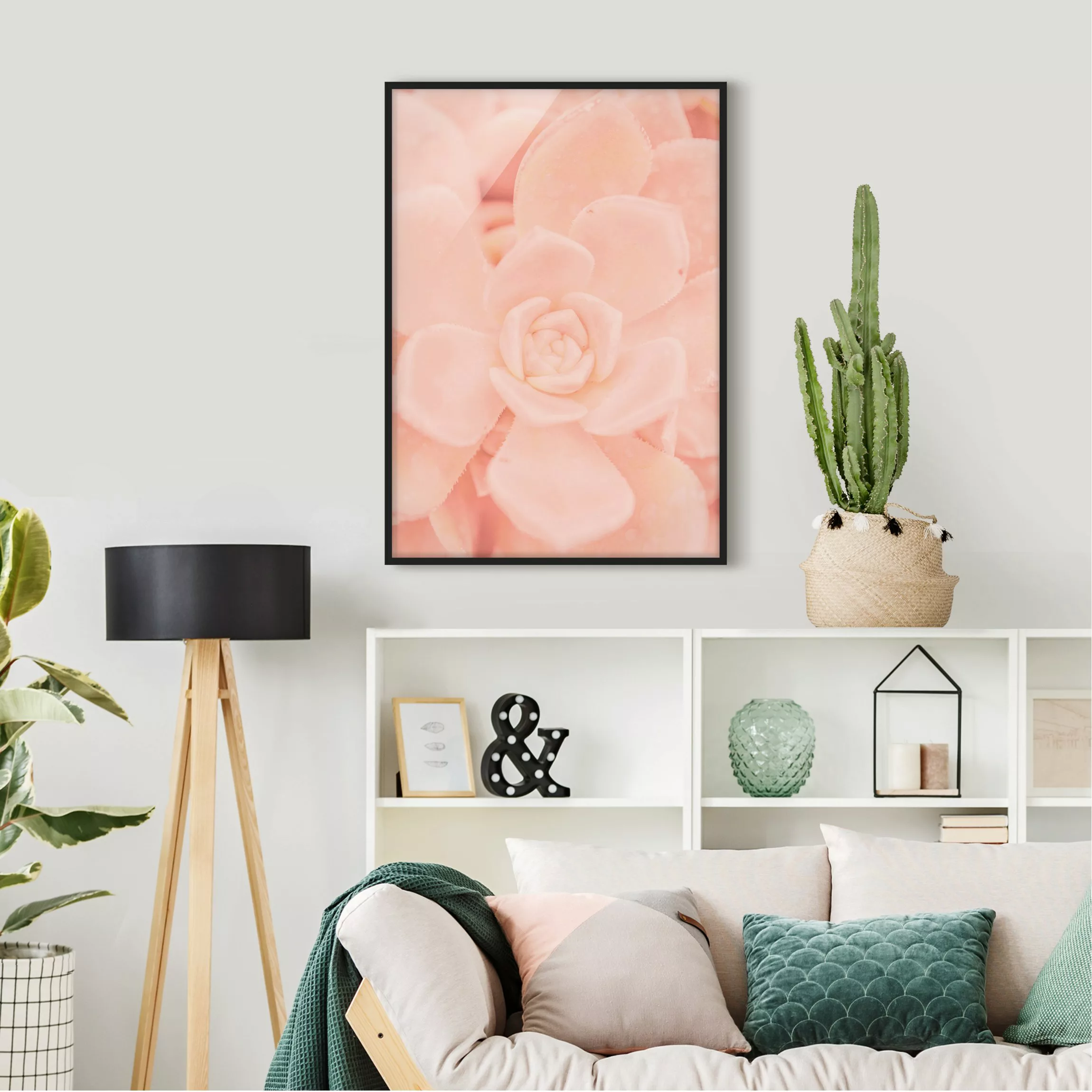 Bild mit Rahmen Blumen - Hochformat Rosa Blütenzauber Echeveria günstig online kaufen