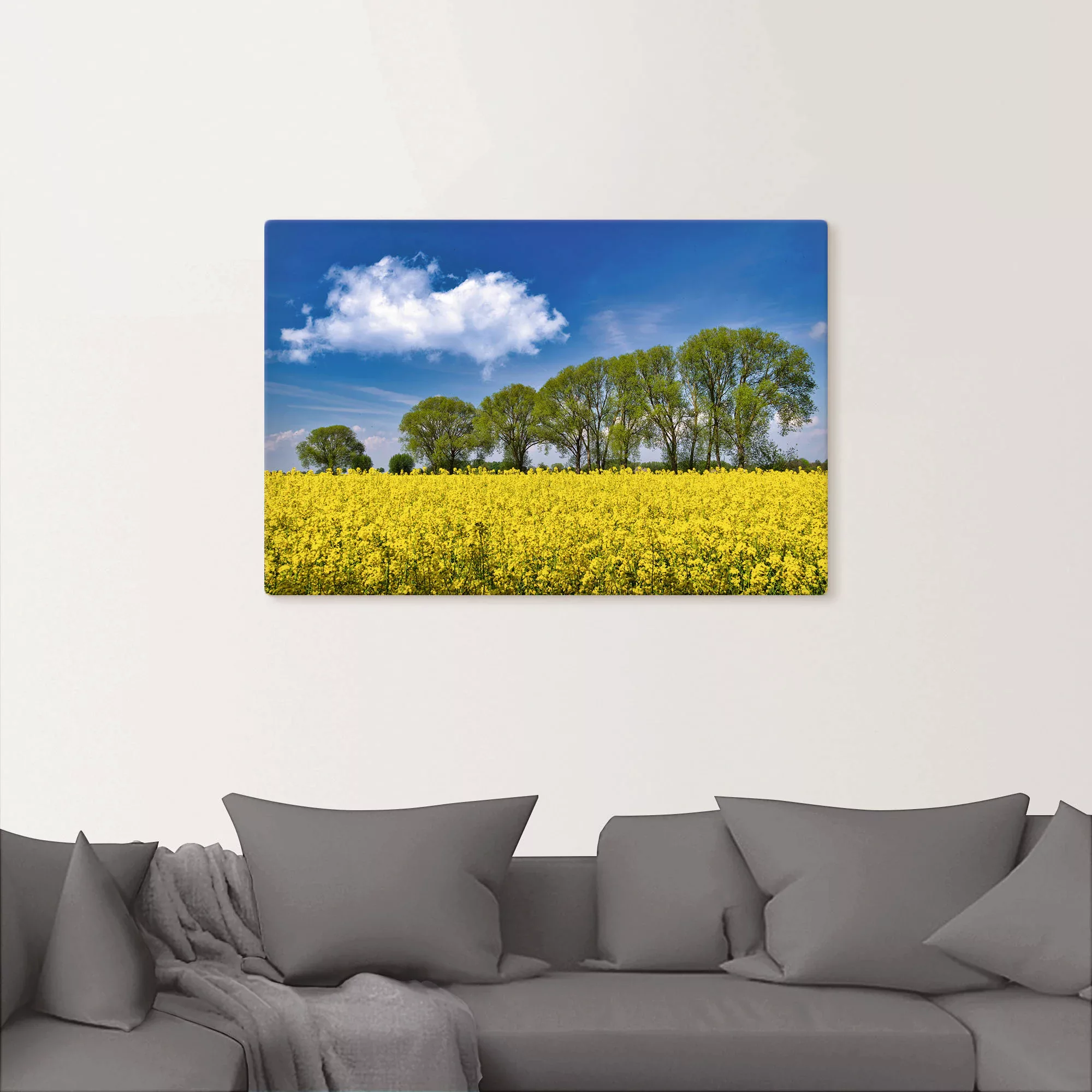 Artland Leinwandbild "Rapsfeld im Frühling", Felder, (1 St.), auf Keilrahme günstig online kaufen