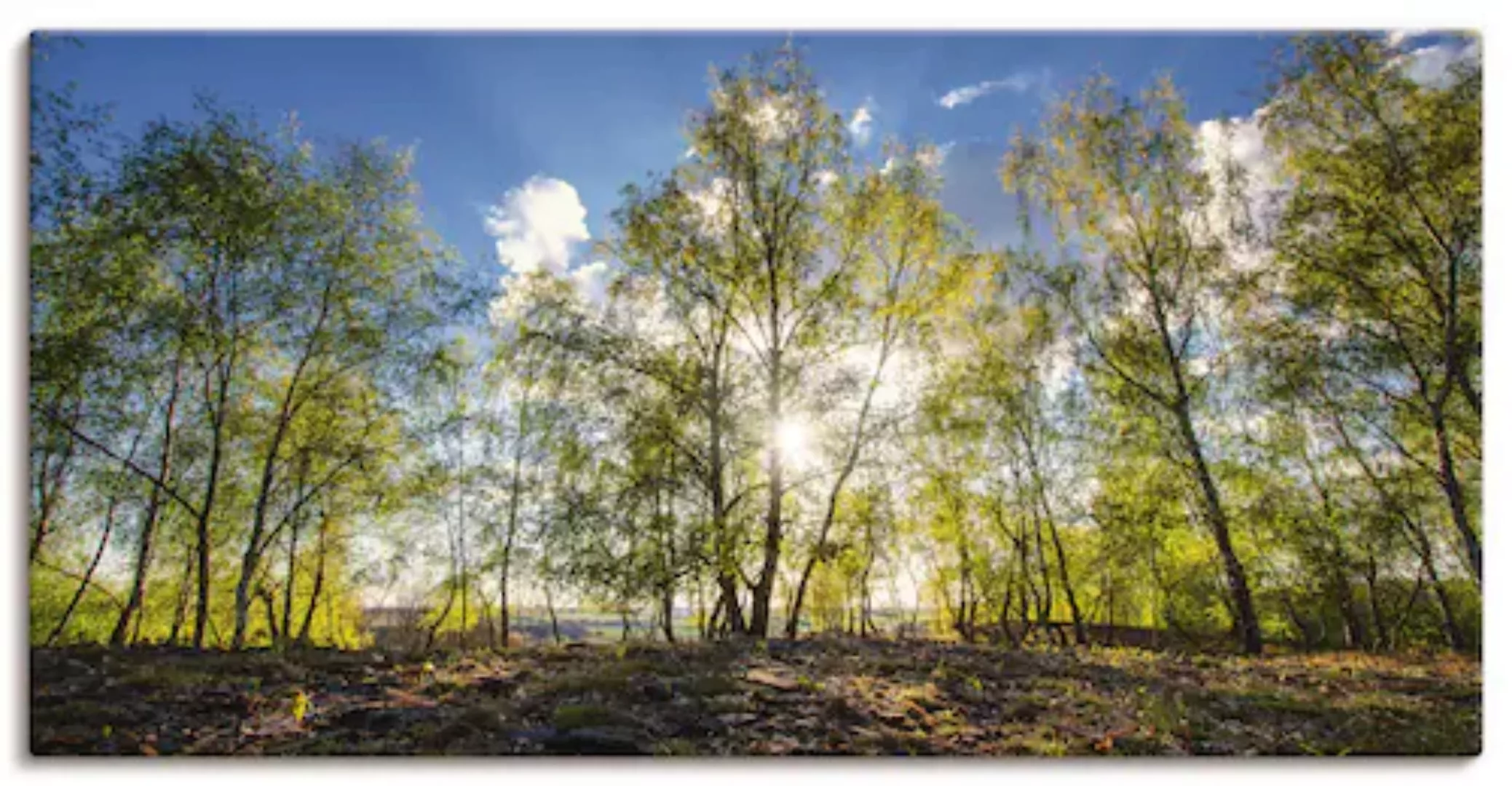 Artland Leinwandbild "Frühlingssonne", Wald, (1 St.), auf Keilrahmen gespan günstig online kaufen