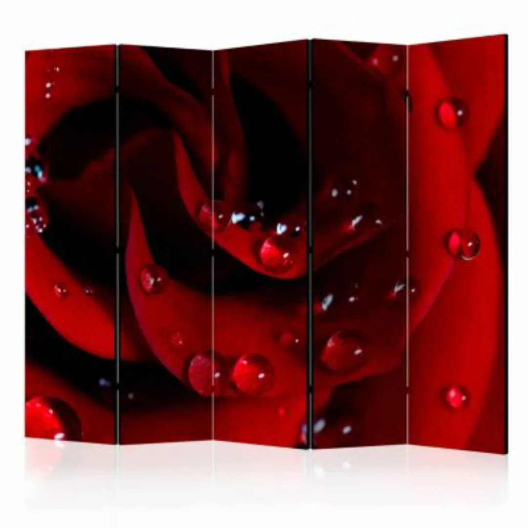 artgeist Paravent Red rose with water drops II [Room Dividers] schwarz Gr. günstig online kaufen