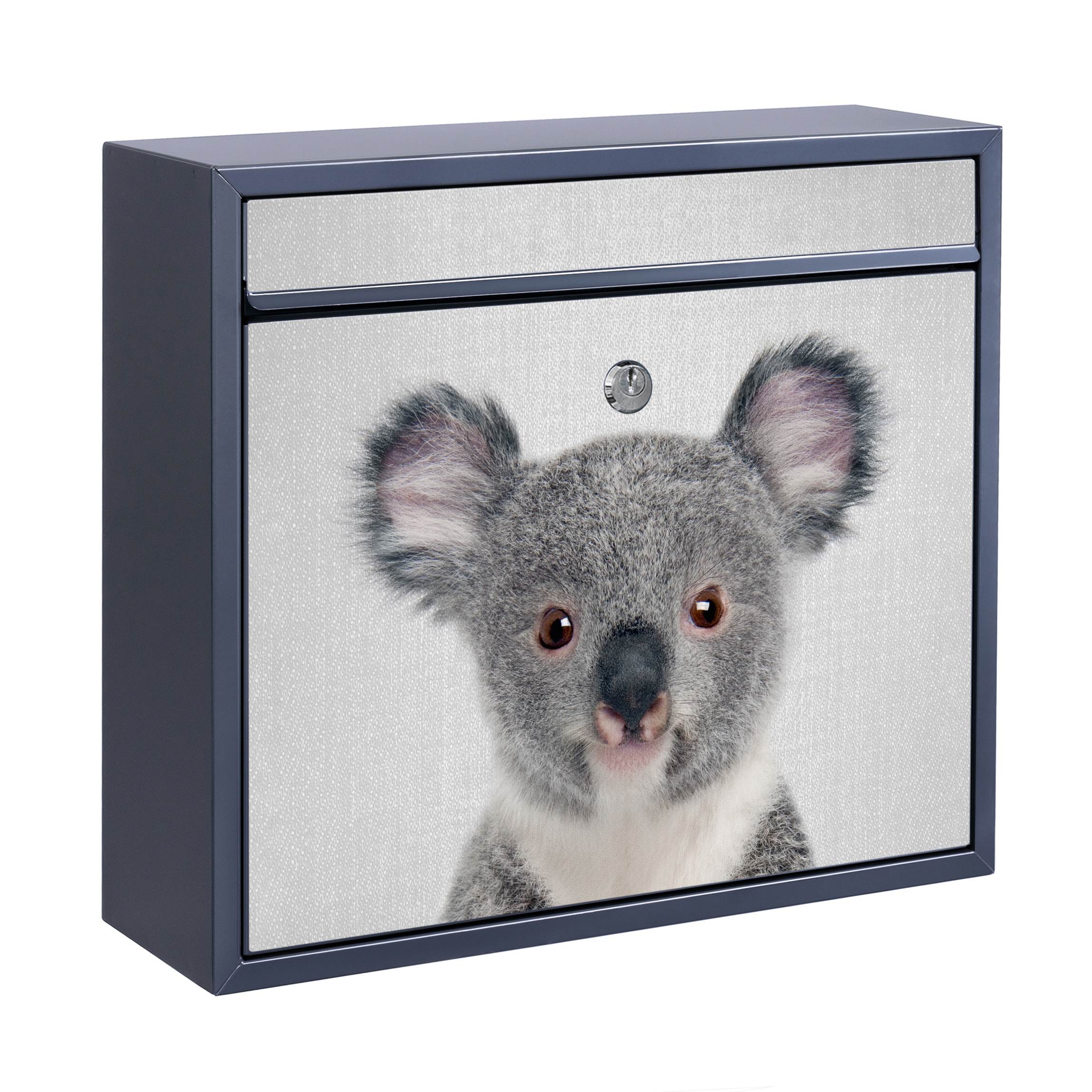 Briefkasten mit eigenem Text Baby Koala Klara günstig online kaufen