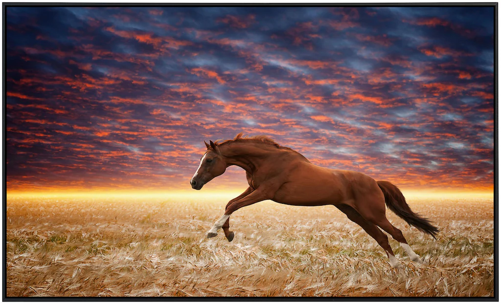 Papermoon Infrarotheizung »Laufendes Pferd«, sehr angenehme Strahlungswärme günstig online kaufen