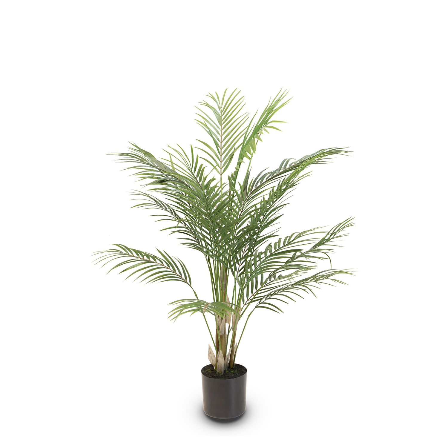 Künstliche Goldfruchtpalme - Areca Palm 90 cm günstig online kaufen