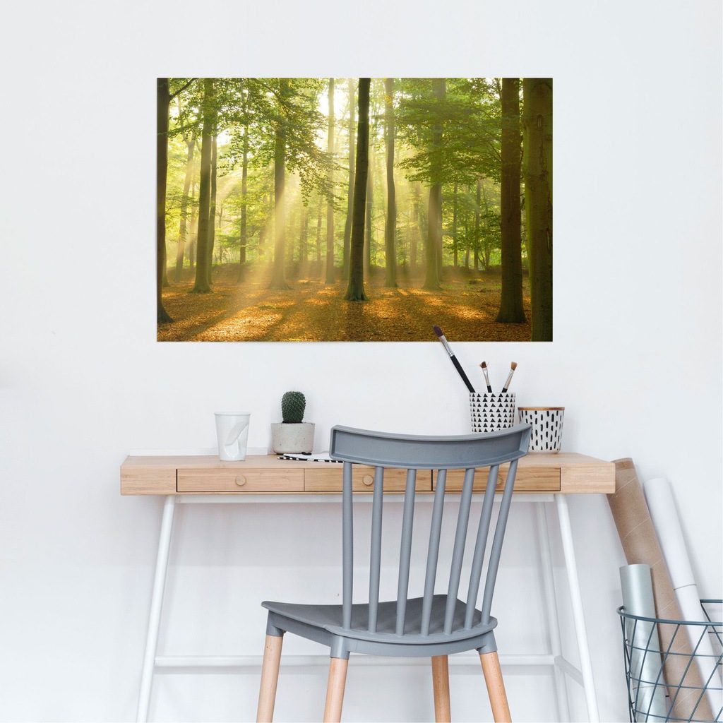 Reinders! Poster »Erleuchteter Wald«, (1 St.) günstig online kaufen