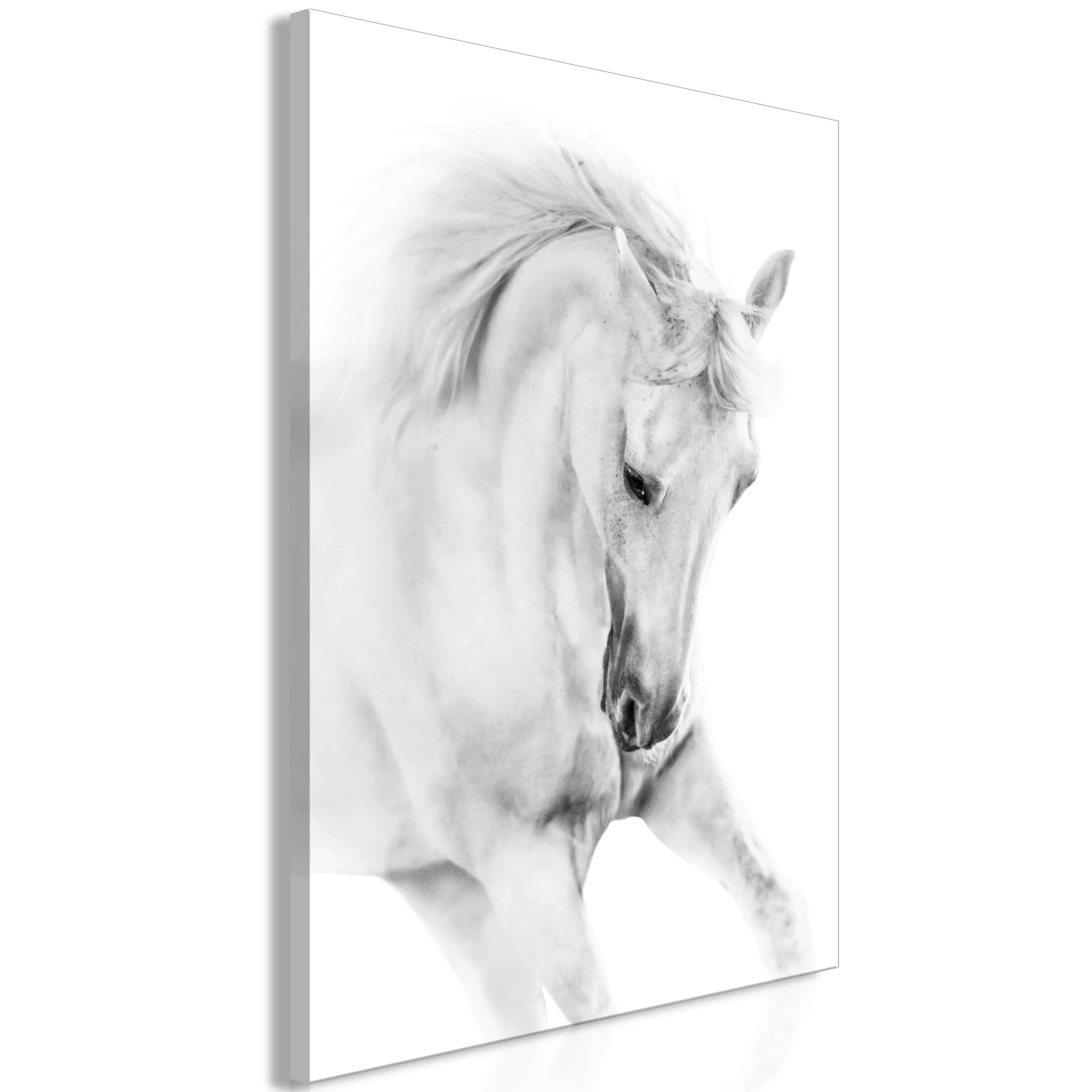 Wandbild - White Horse (1 Part) Vertical günstig online kaufen