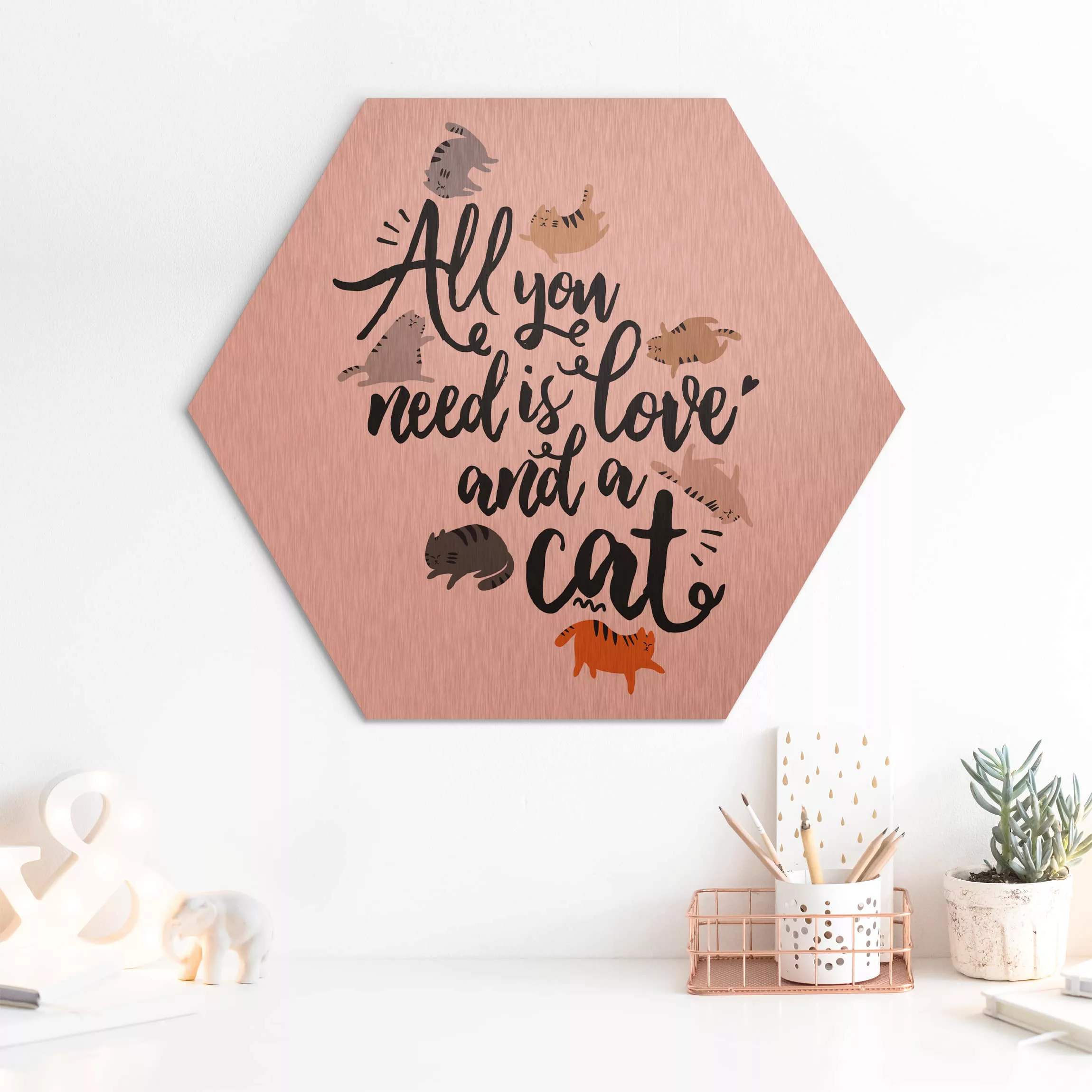 Hexagon-Alu-Dibond Bild Spruch All you need is love and a cat günstig online kaufen
