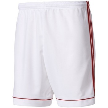 adidas  7/8 & 3/4 Hosen Short Squadra 17 Kids günstig online kaufen