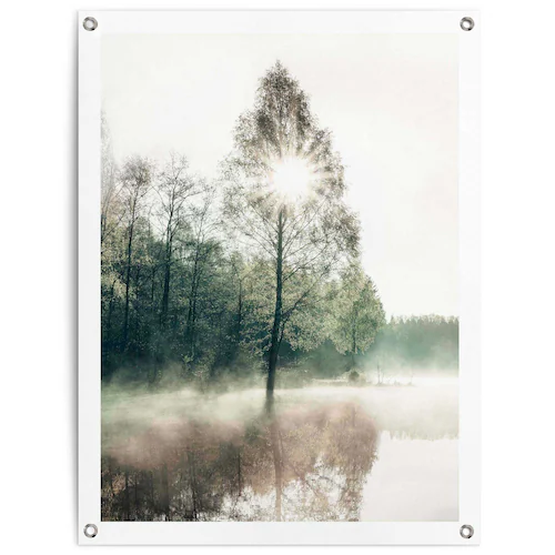 Reinders Poster "Sonne durch die Bäume", Outdoor für Garten oder Balkon günstig online kaufen