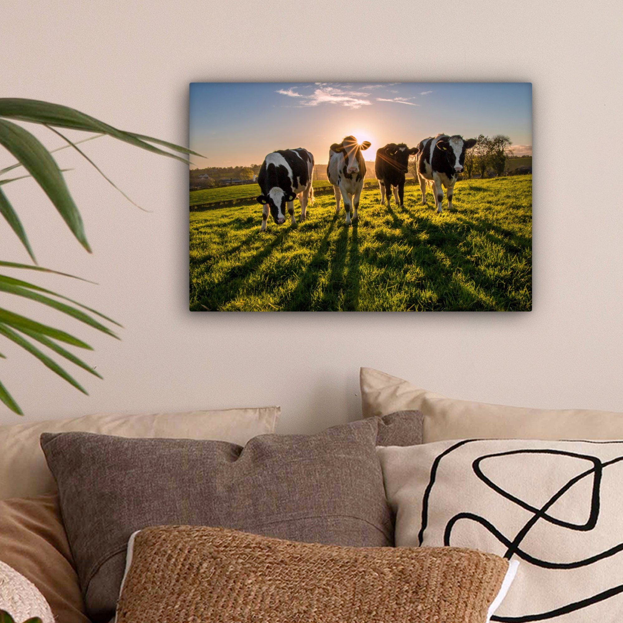 OneMillionCanvasses® Leinwandbild Kühe - Sonne - günstig online kaufen