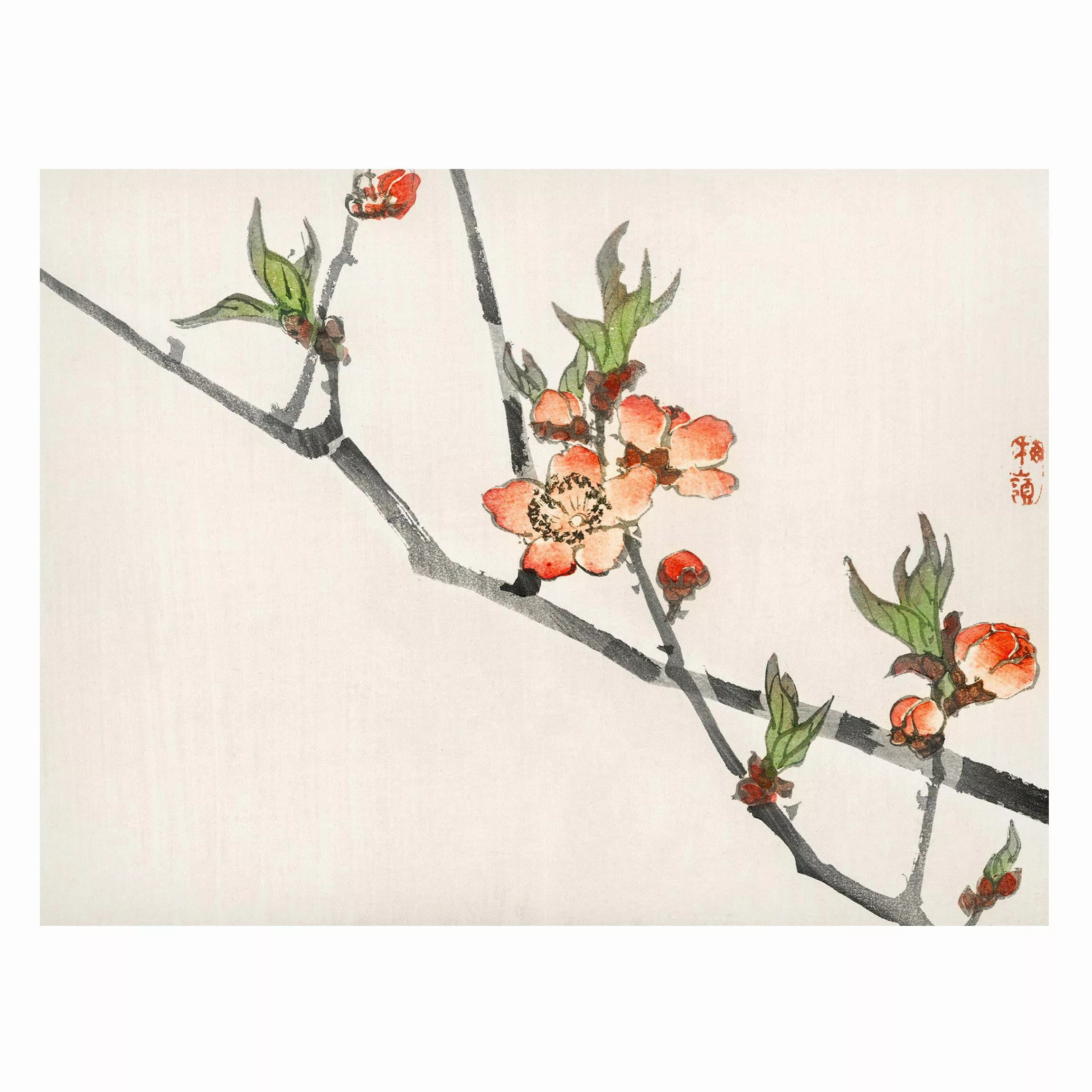 Magnettafel Blumen - Querformat 4:3 Asiatische Vintage Zeichnung Kirschblüt günstig online kaufen