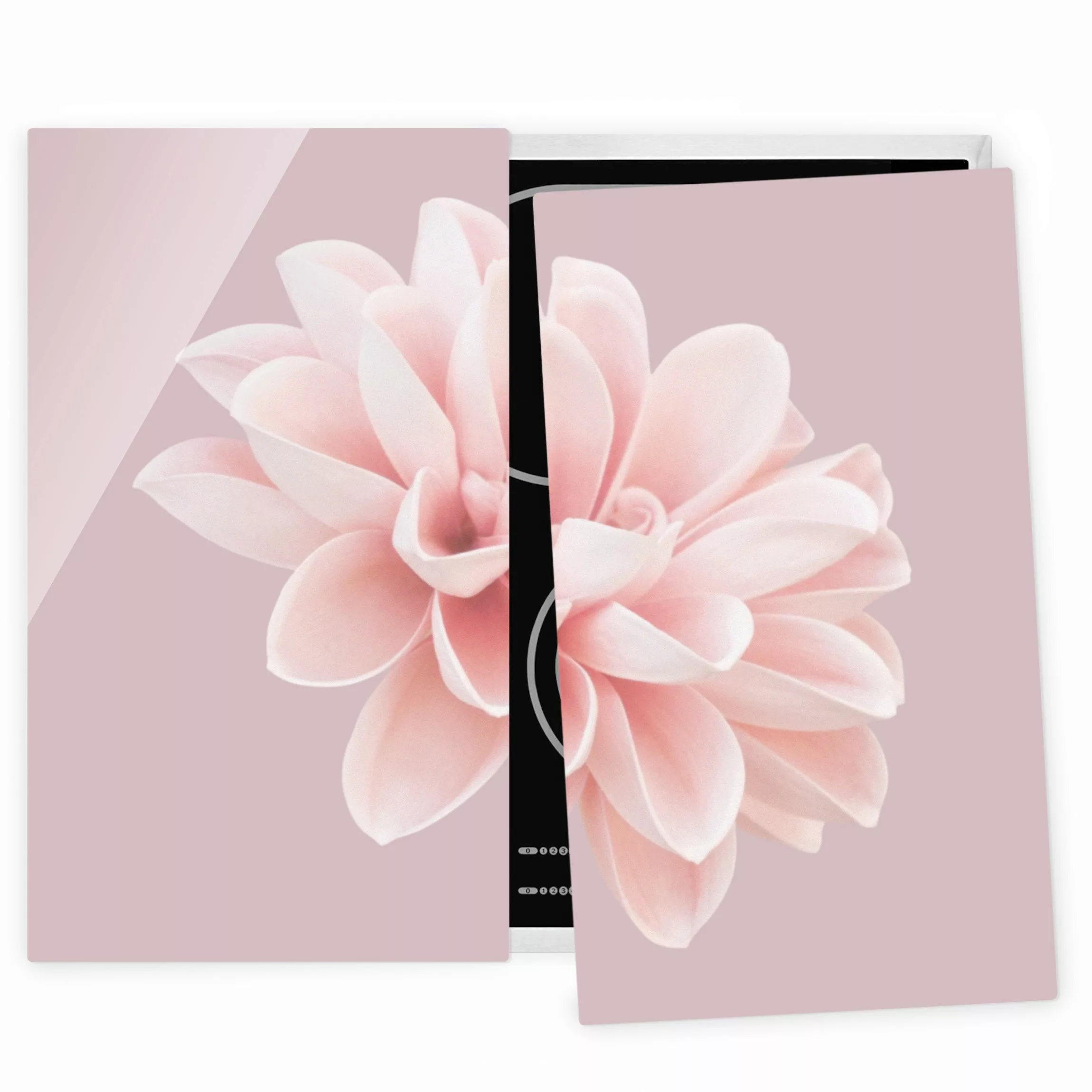 Herdabdeckplatte Blumen Dahlie Blume Lavendel Rosa Weiß günstig online kaufen