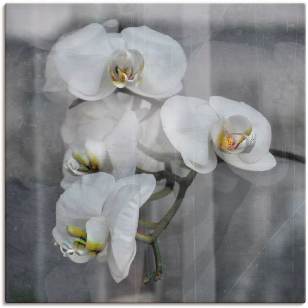 Artland Wandbild "Weisse Orchideen - white Orchid", Blumen, (1 St.), als Le günstig online kaufen