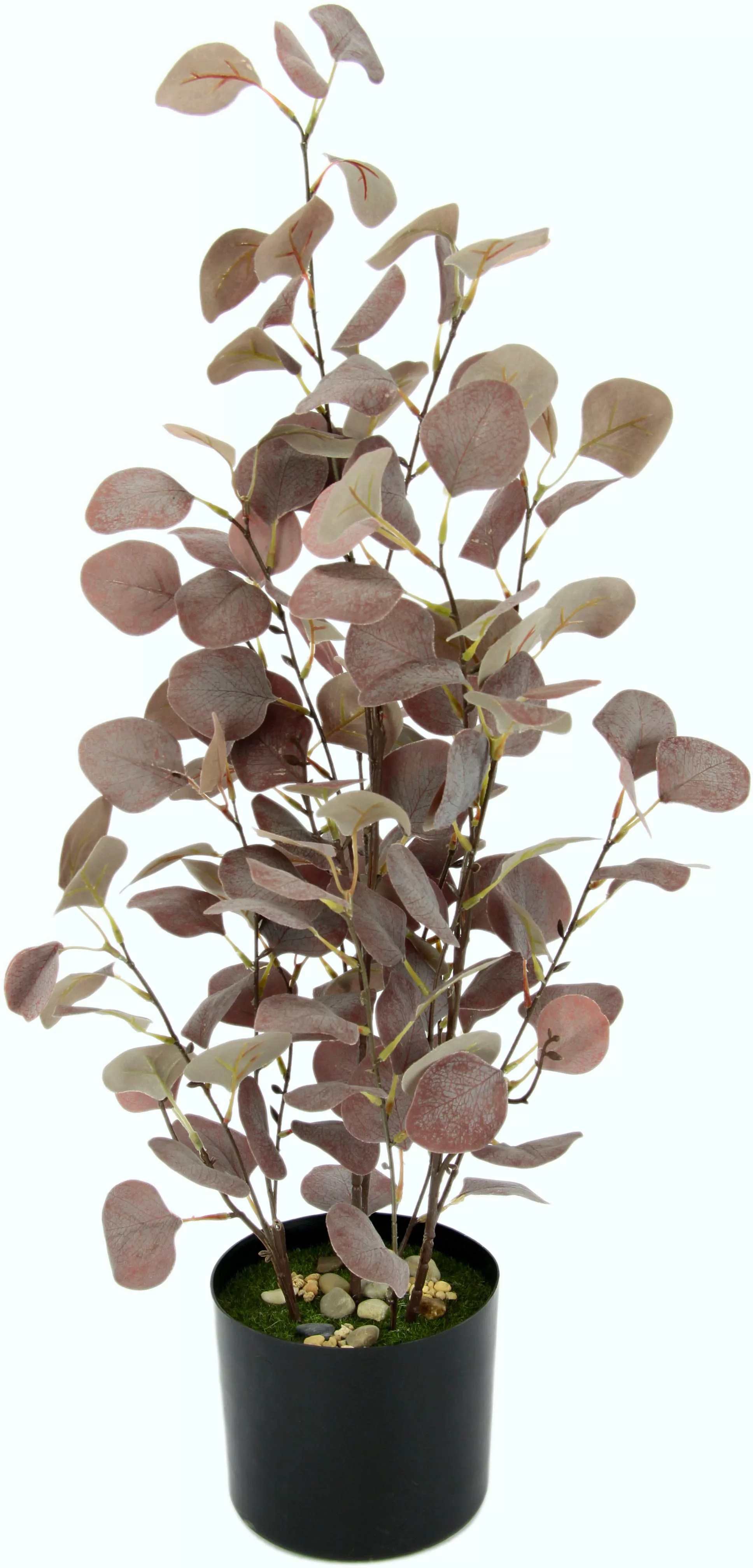 I.GE.A. Kunstpflanze "Eukalyptuspflanze" günstig online kaufen
