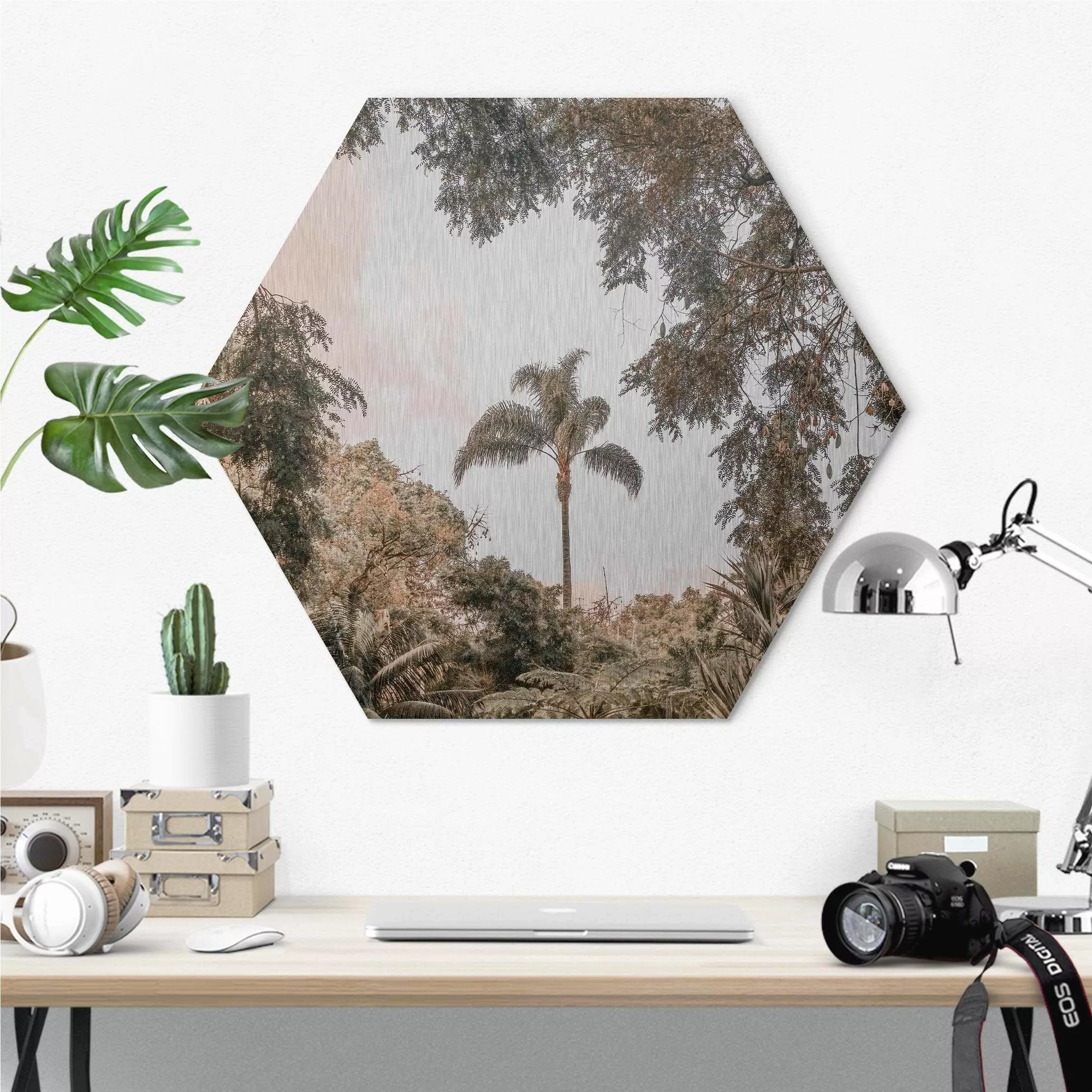 Hexagon-Alu-Dibond Bild Garten auf Madeira günstig online kaufen