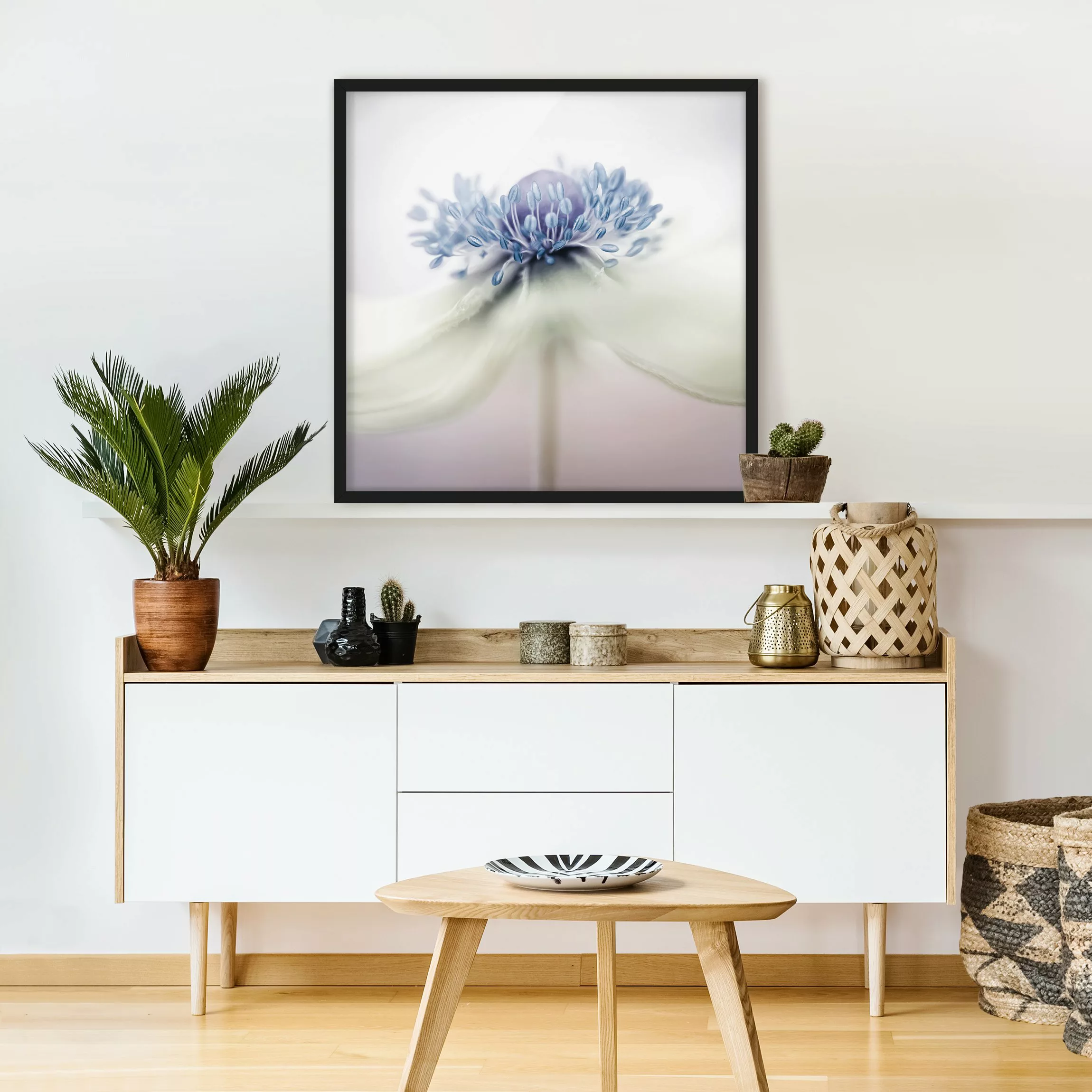 Bild mit Rahmen Blumen - Quadrat Anemone in Violett günstig online kaufen