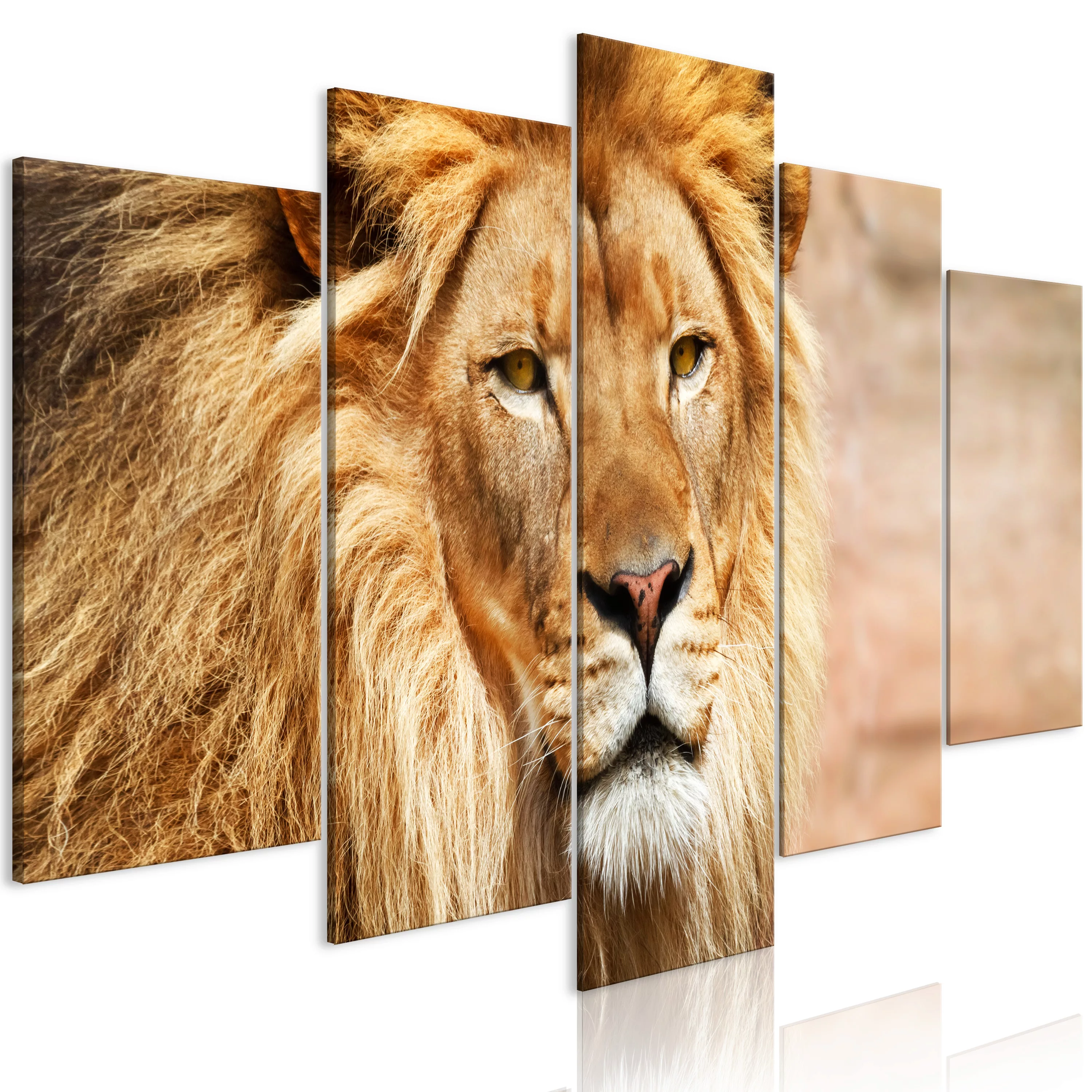 Wandbild - The King Of Beasts (5 Parts) Wide Orange günstig online kaufen