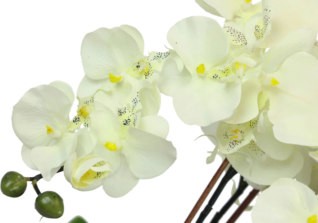 I.GE.A. Kunstblume "Künstliche Orchidee in Schale Phalaenopsis Kunstblume B günstig online kaufen