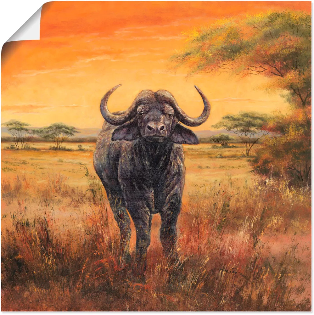 Artland Wandbild »Büffel«, Wildtiere, (1 St.), als Poster, Wandaufkleber in günstig online kaufen
