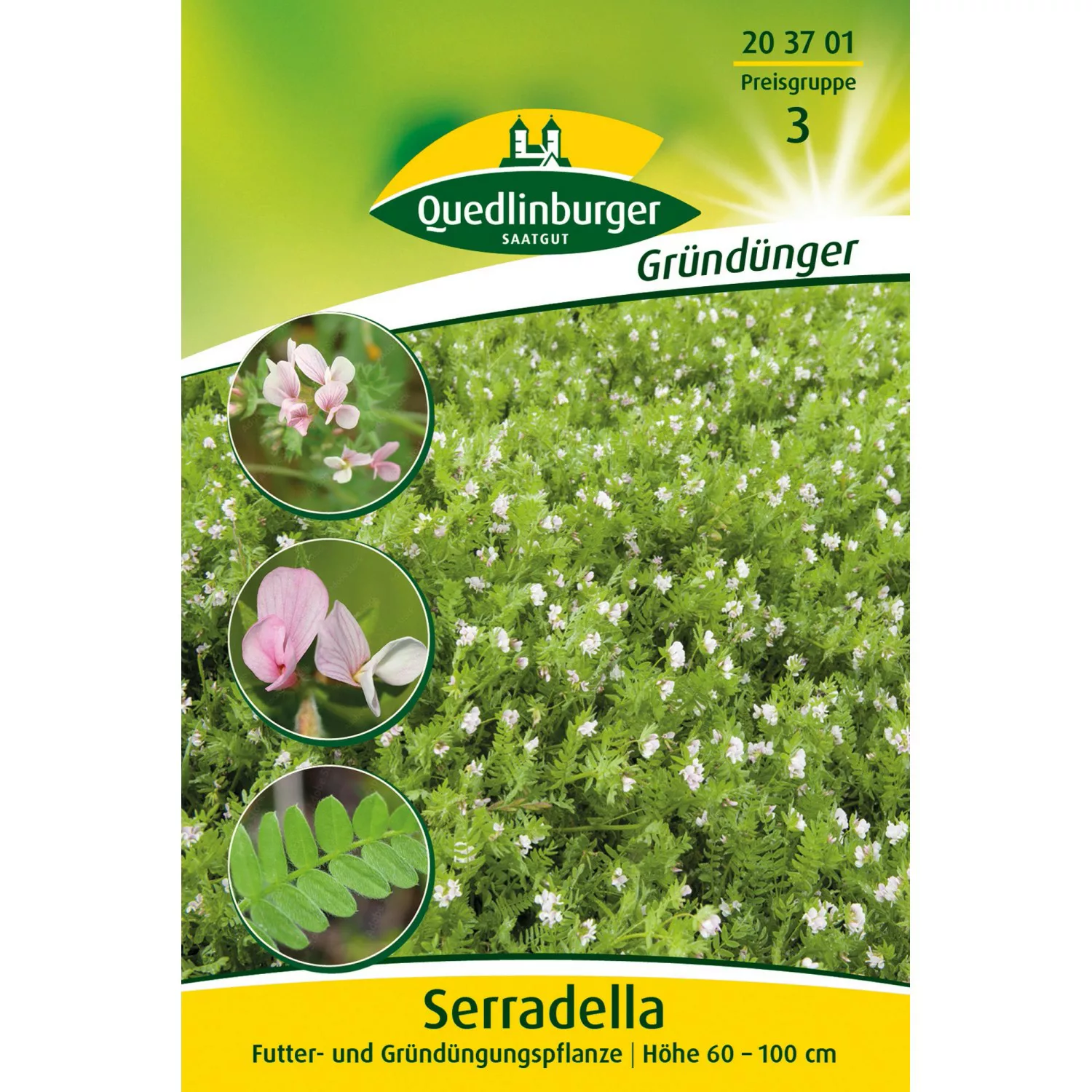 Quedlinburger Serradella einjährig Großpackung günstig online kaufen