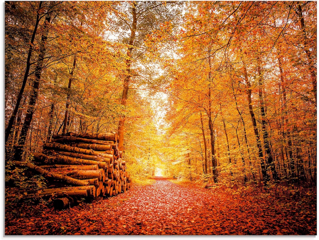 Artland Glasbild "Herbstlandschaft", Vier Jahreszeiten, (1 St.), in verschi günstig online kaufen