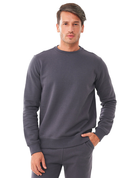 Herren Sweatshirt Reine Bio-baumwolle günstig online kaufen