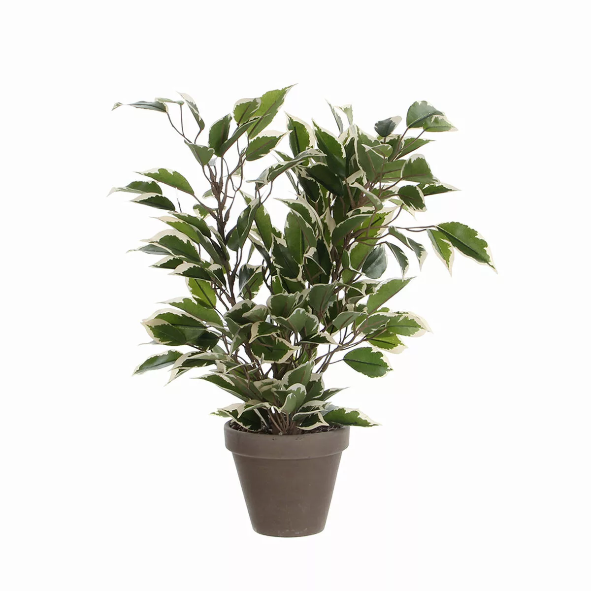 Mica Decorations Kunstpflanze Ficus Natasja in Topf Grün-Weiß H 40 cm, Ø: 3 günstig online kaufen