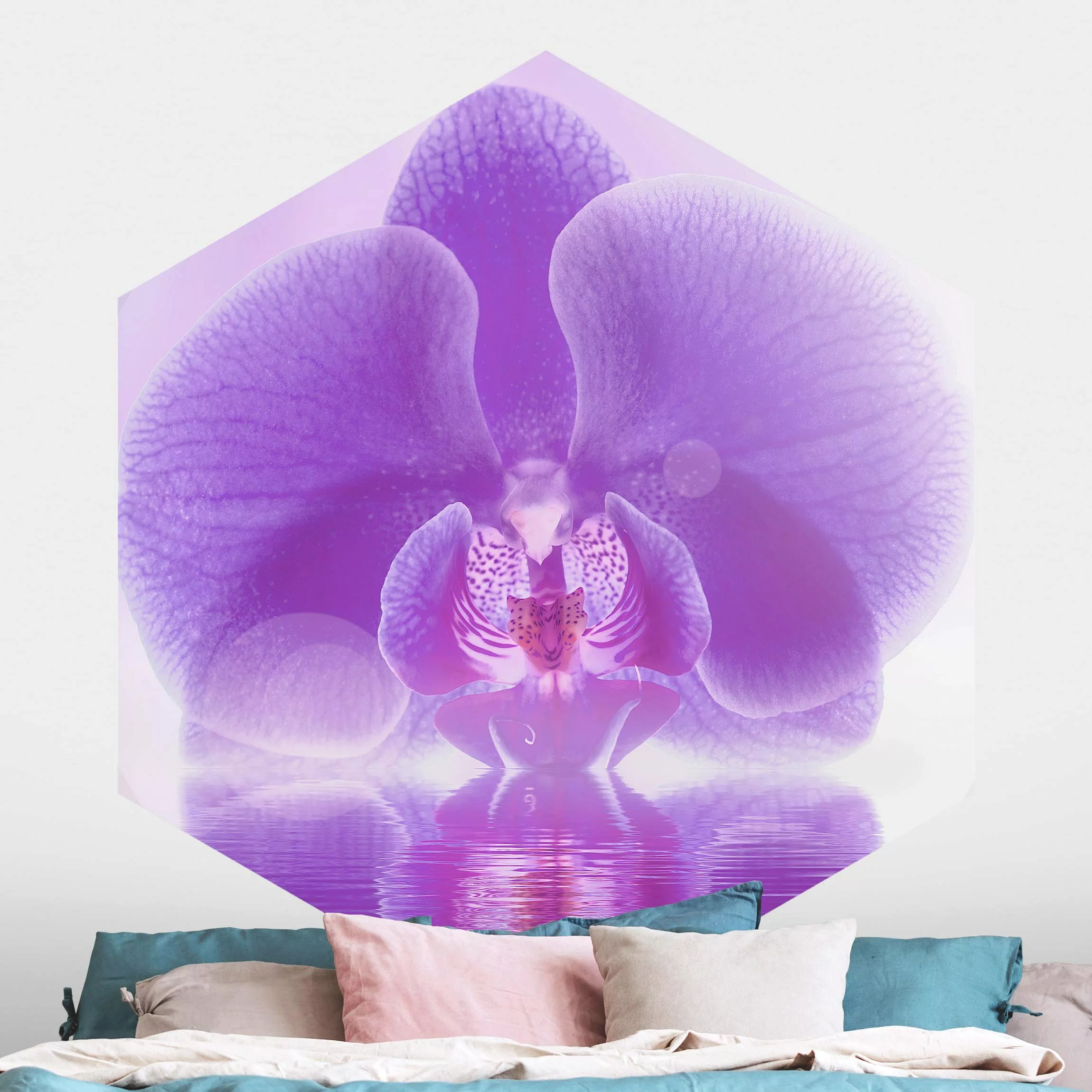 Hexagon Fototapete selbstklebend Lila Orchidee auf Wasser günstig online kaufen