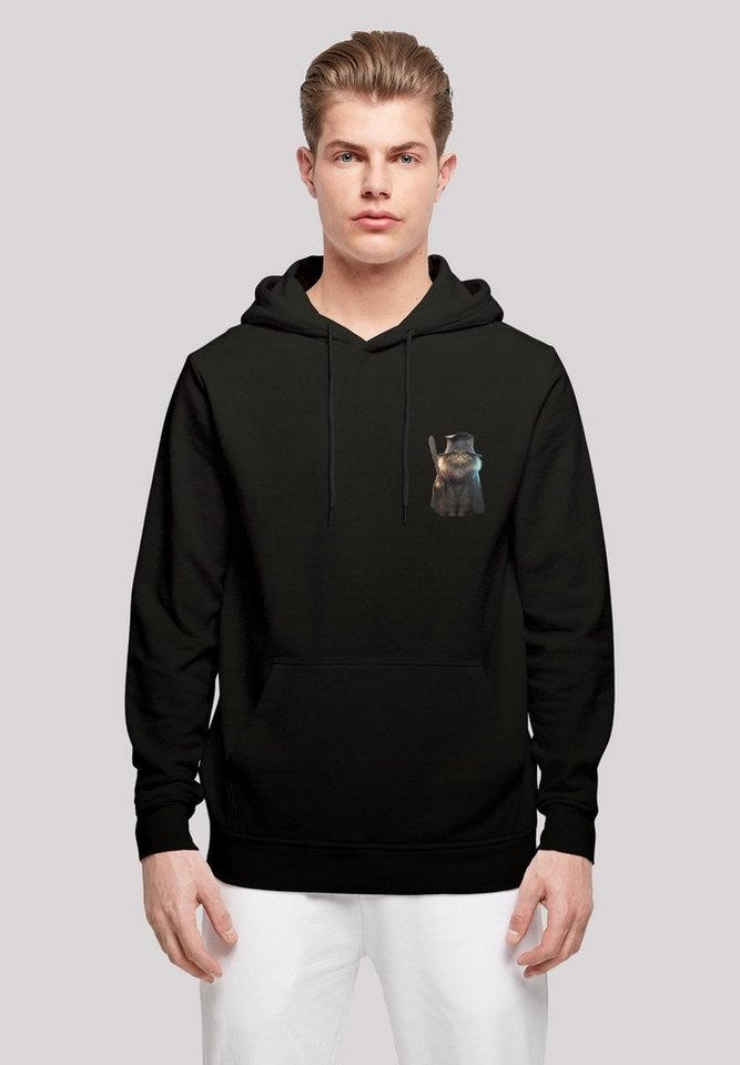 F4NT4STIC Kapuzenpullover Wizard Cat HOODIE Print günstig online kaufen