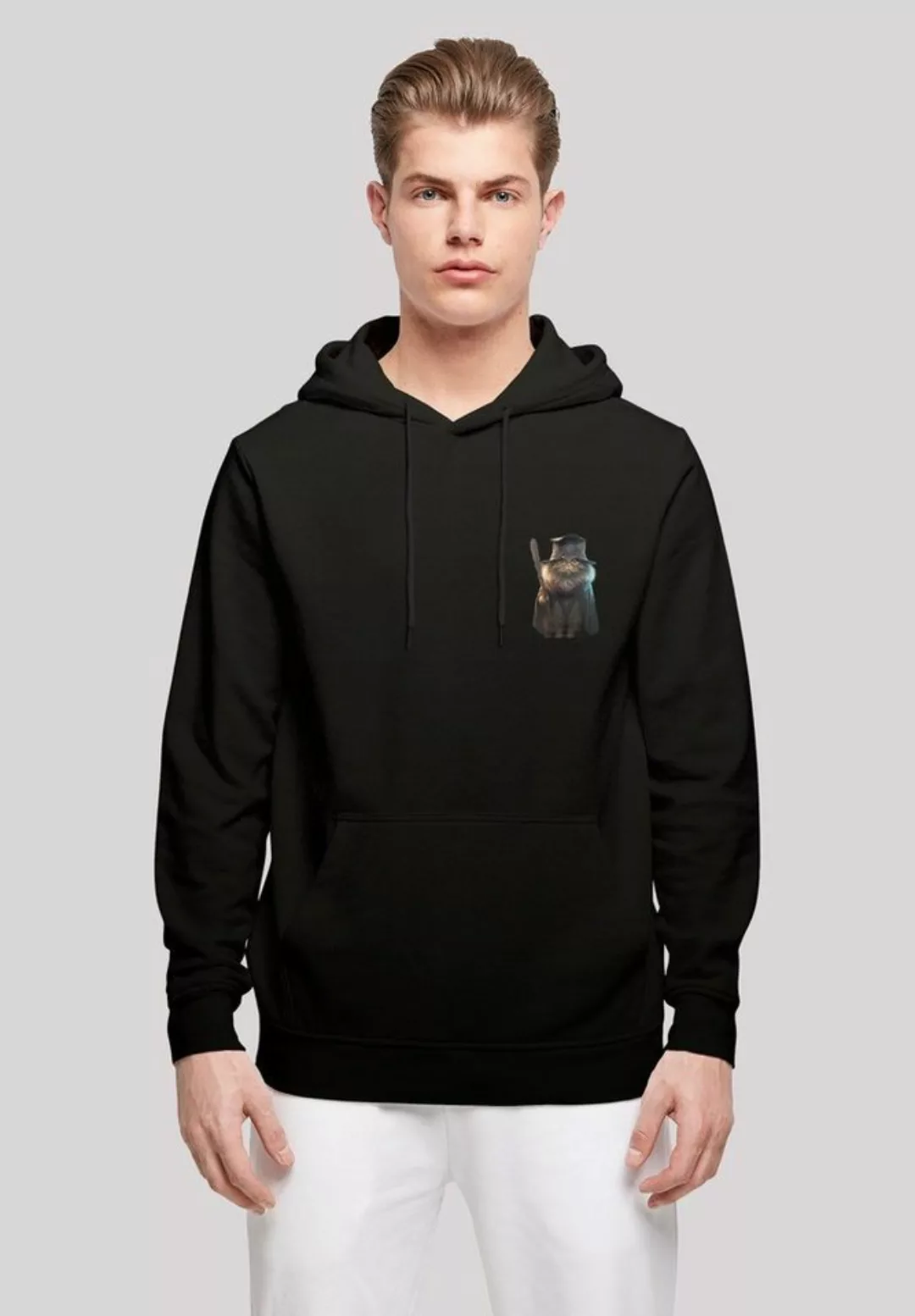 F4NT4STIC Kapuzenpullover "Wizard Cat HOODIE", Print günstig online kaufen