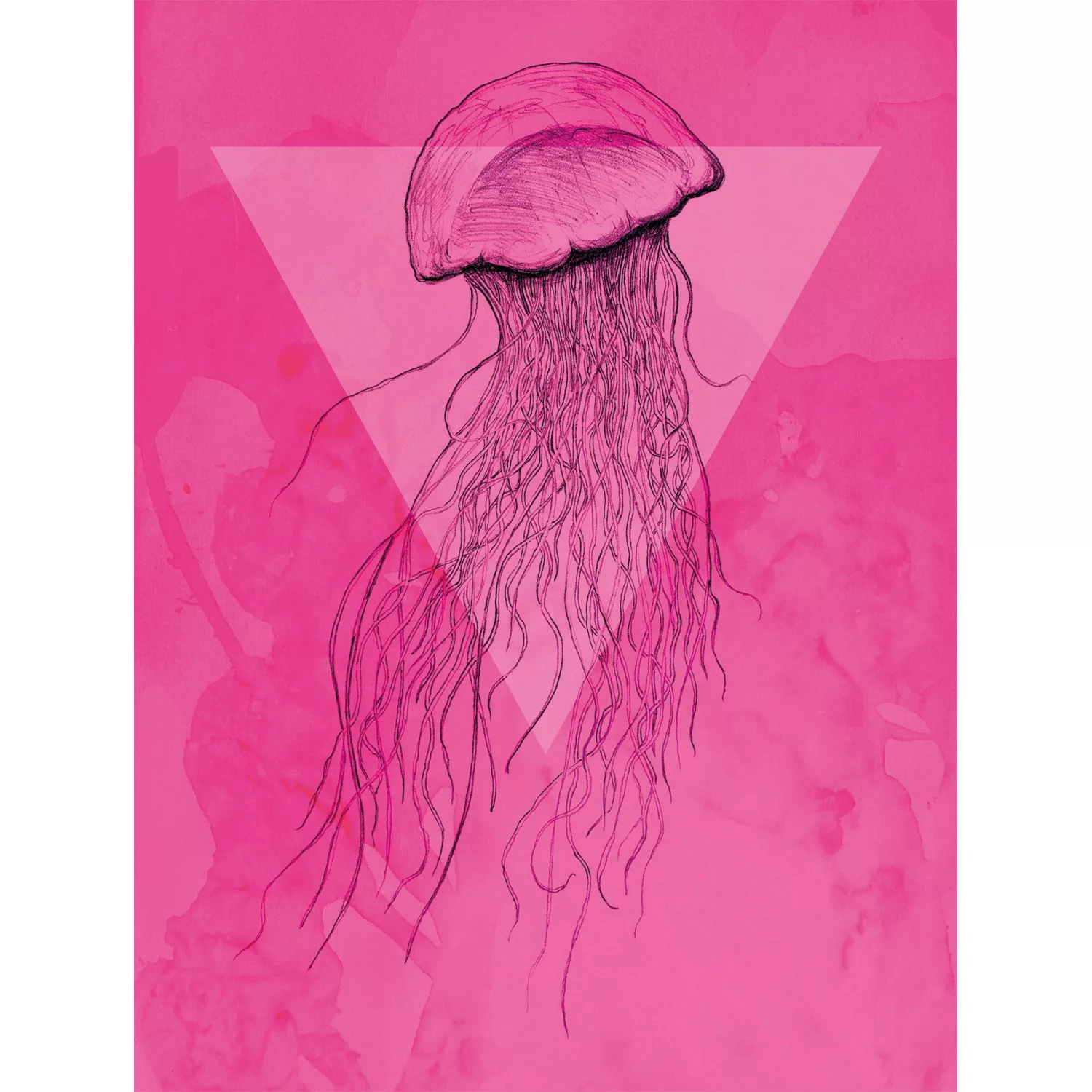 Komar Wandbild Jellyfish Pink 40 x 50 cm günstig online kaufen