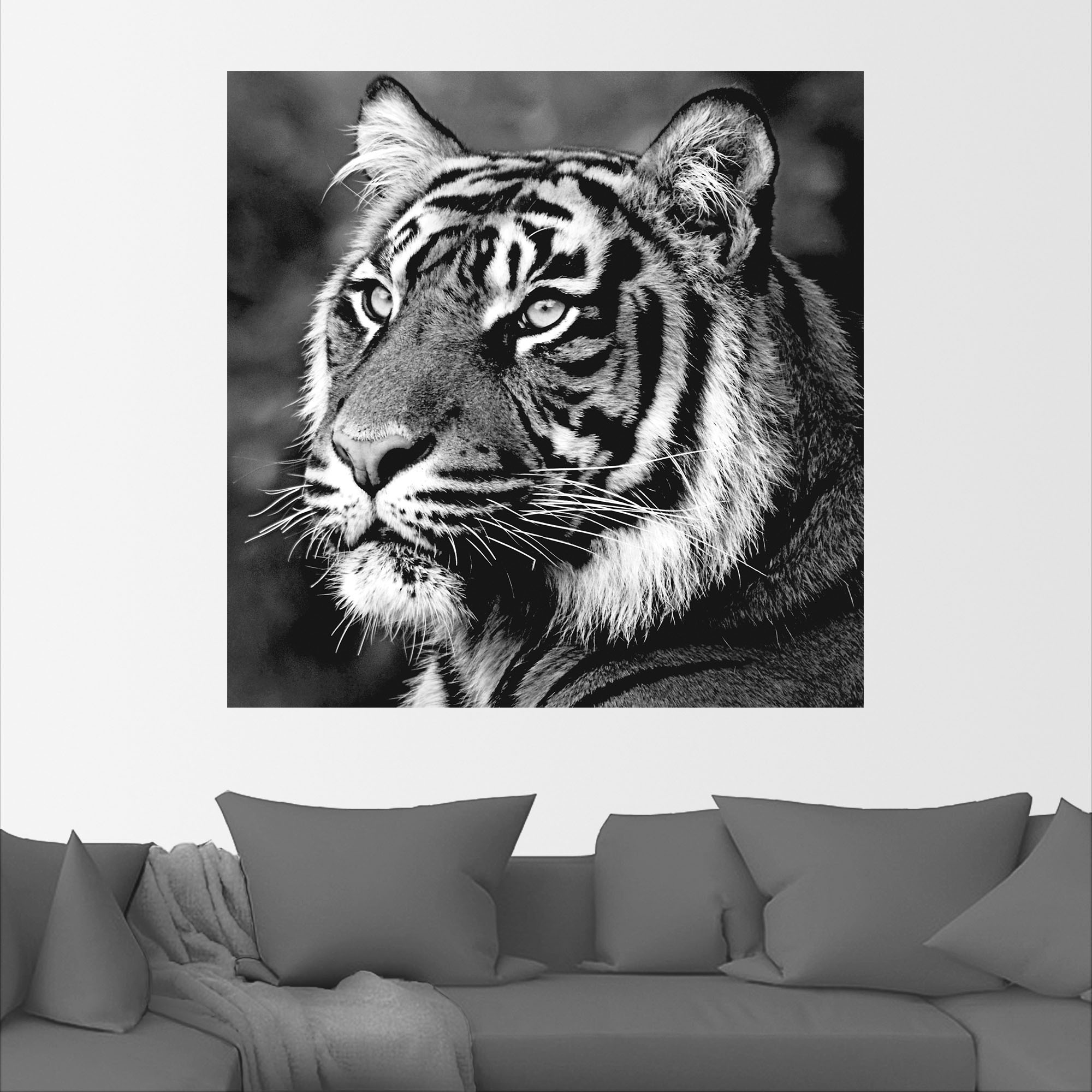 Artland Wandbild "Tiger", Wildtiere, (1 St.), als Leinwandbild, Poster, Wan günstig online kaufen