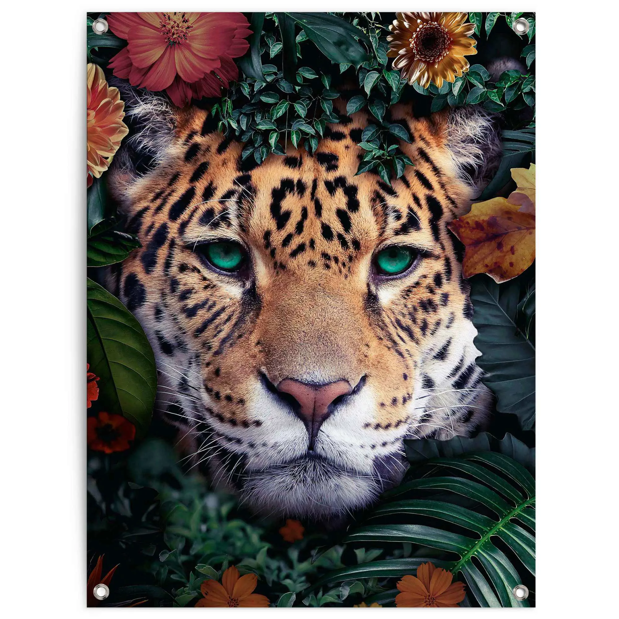 Reinders Poster "Leopard" günstig online kaufen