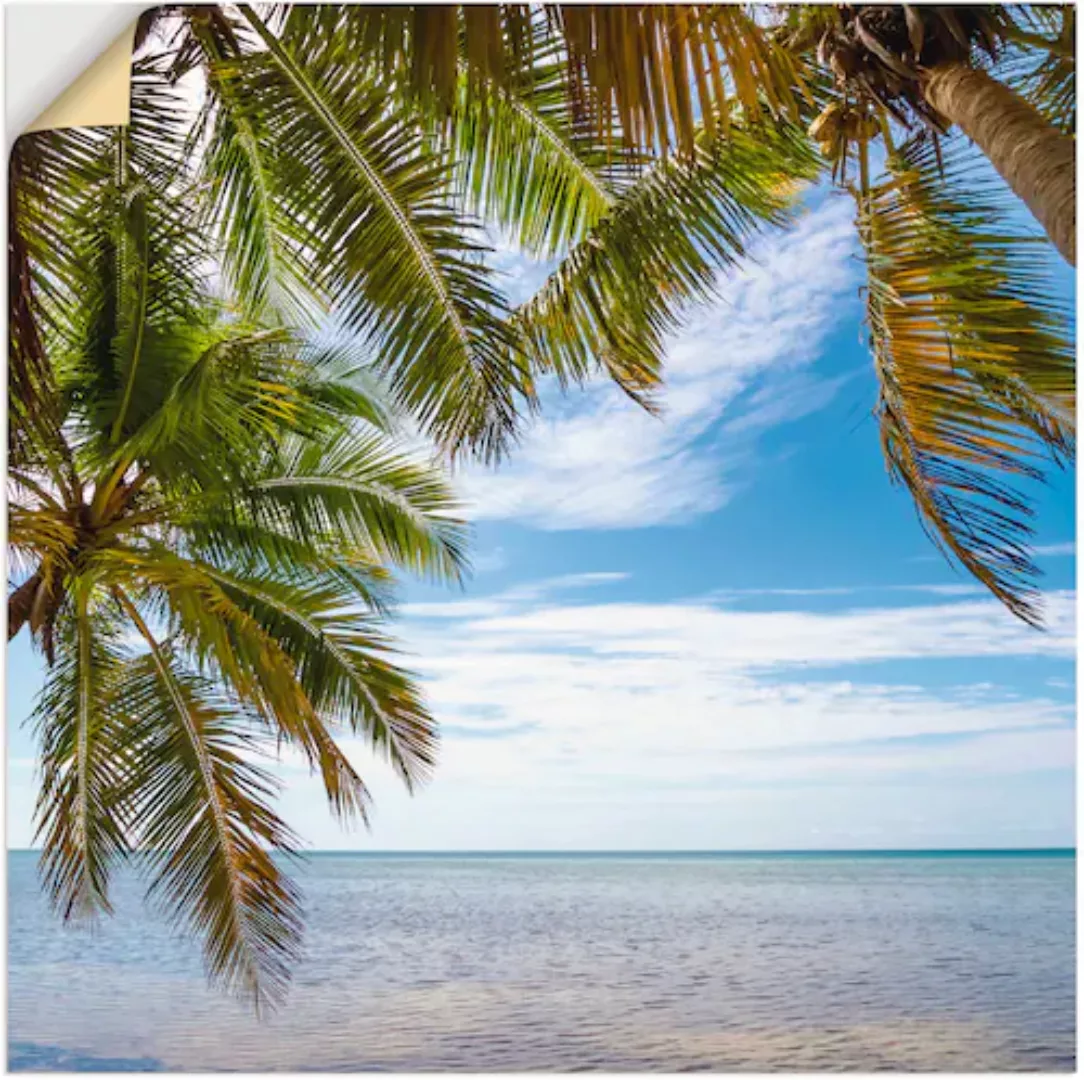 Artland Wandfolie »Florida Keys Das Meer«, Bäume, (1 St.) günstig online kaufen