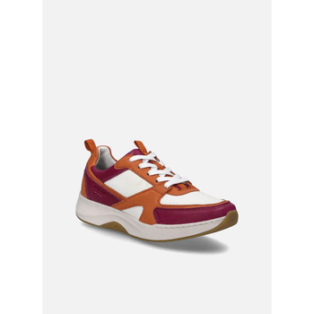 Josef Seibel  Sneaker Elli 09, magenta-multi günstig online kaufen
