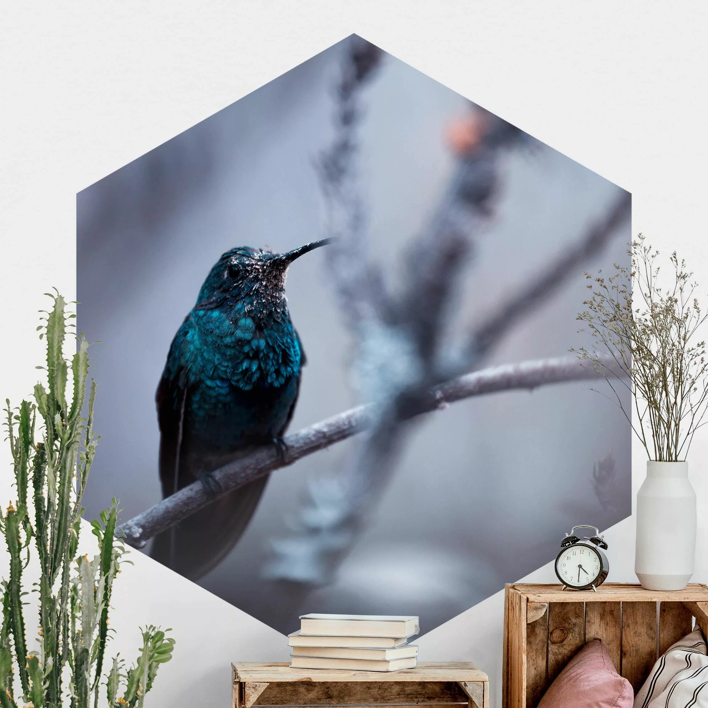 Hexagon Fototapete selbstklebend Kolibri im Winter günstig online kaufen