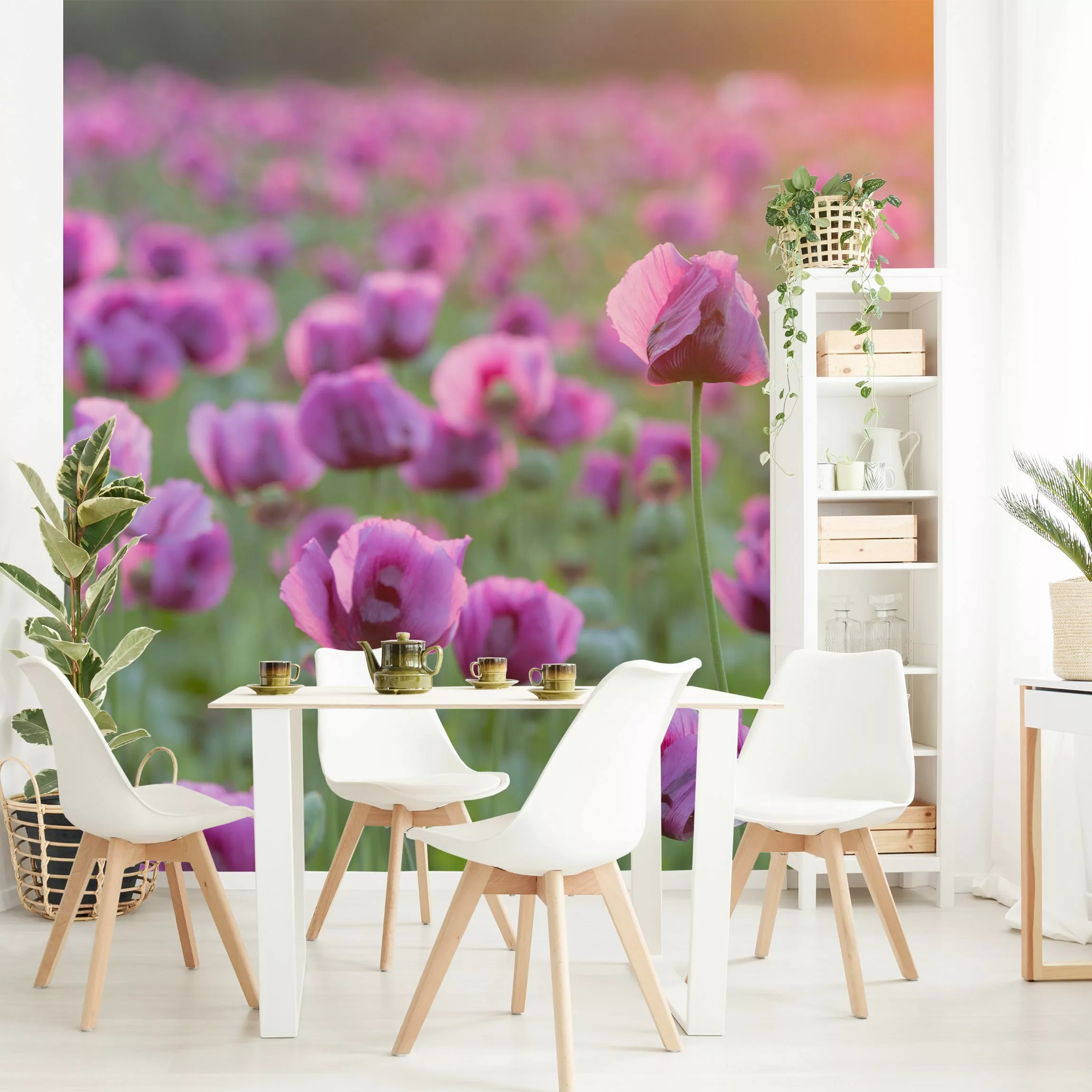 Fototapete Violette Schlafmohn Blumenwiese im Frühling günstig online kaufen