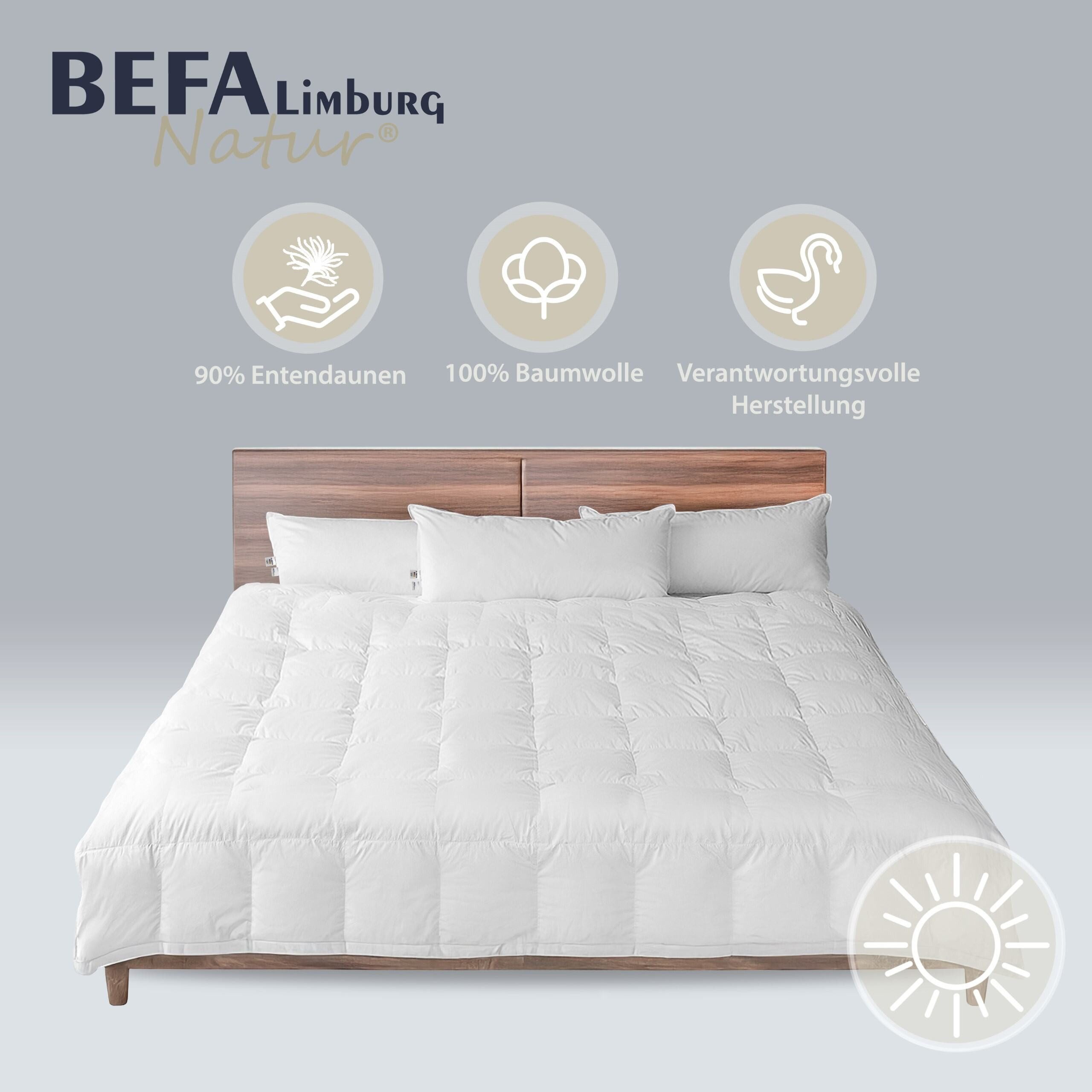 BEFA NATUR Daunenbettdecke Premium-Sommerdecke, Bettdecken für günstig online kaufen