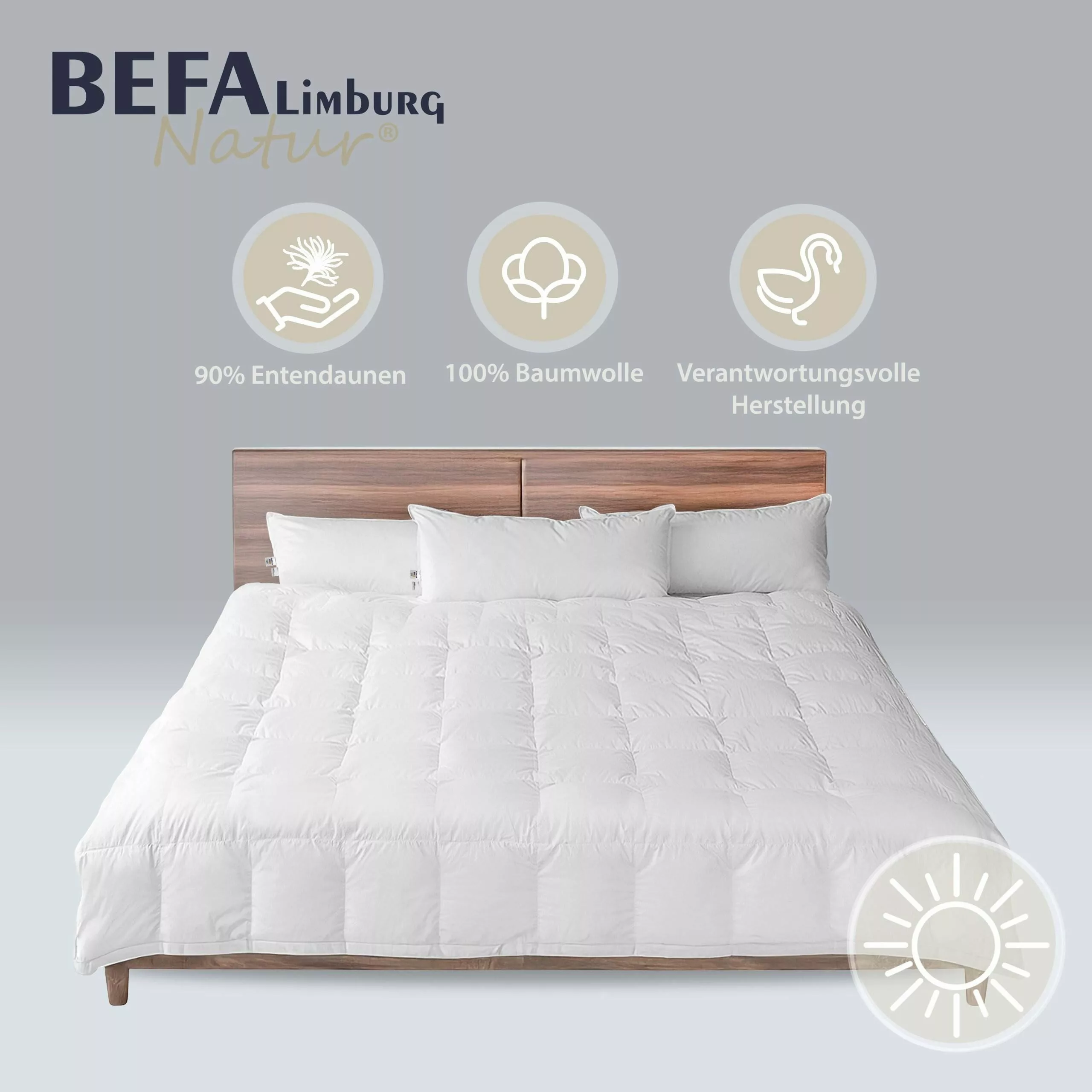 BEFA NATUR Daunenbettdecke Premium-Sommerdecke, Bettdecken für günstig online kaufen