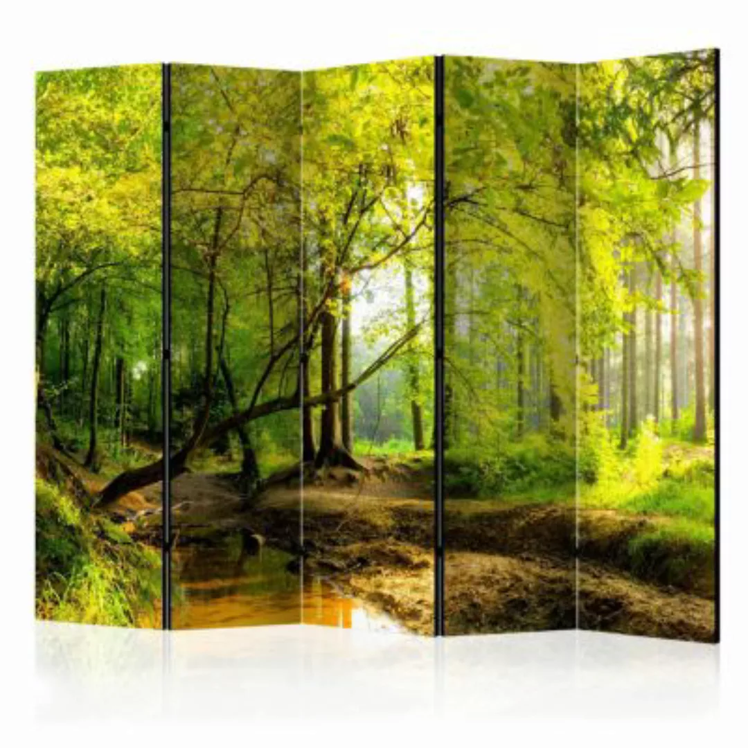 artgeist Paravent Forest Clearing II [Room Dividers] grün-kombi Gr. 225 x 1 günstig online kaufen