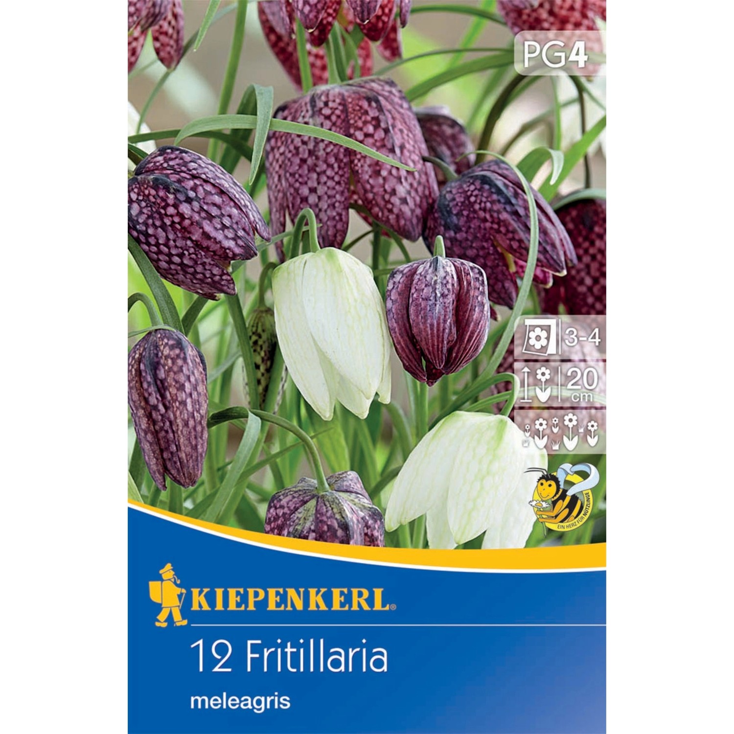 Kiepenkerl Blumenzwiebeln Schachbrettblumen Mischung 12 Stück günstig online kaufen