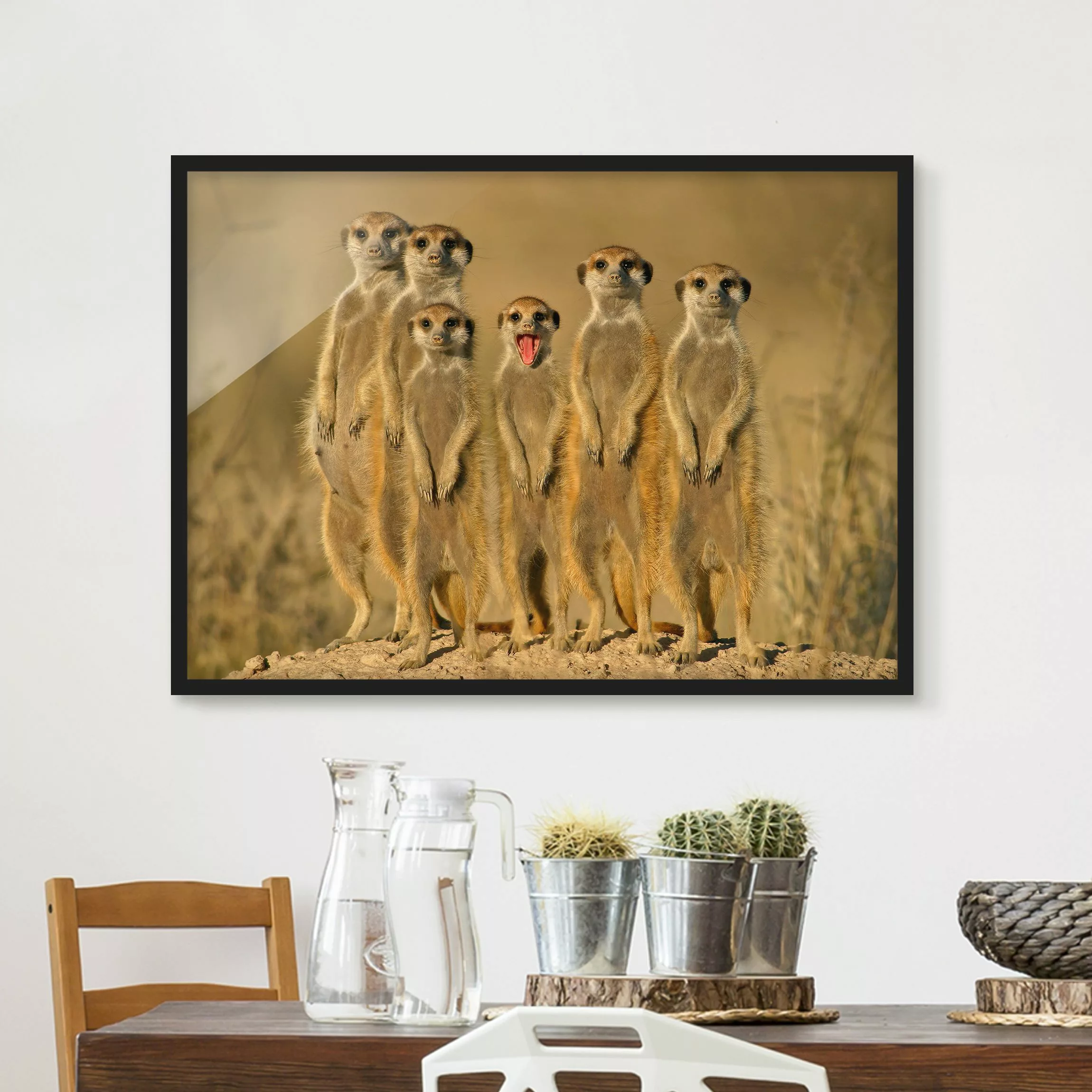 Bild mit Rahmen Tiere - Querformat Meerkat Family günstig online kaufen