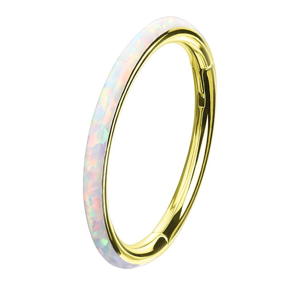 Taffstyle Nasenpiercing Piercing Segmentring Scharnier Clicker günstig online kaufen