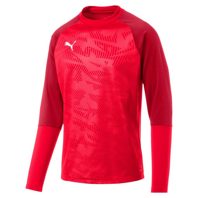 PUMA Fleecepullover Puma Herren Pullover Cup Training Sweat Core 656021 günstig online kaufen