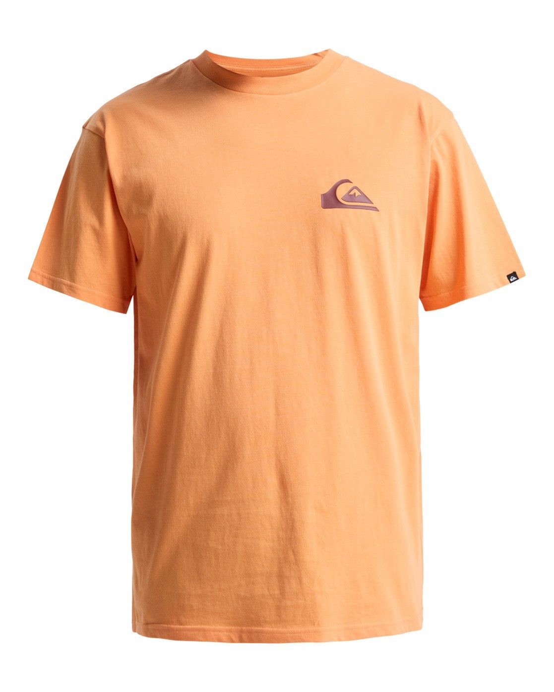Quiksilver T-Shirt Ev Mini Logo günstig online kaufen