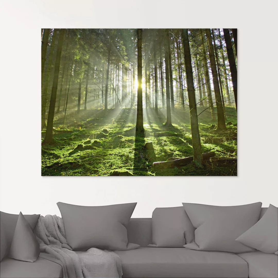 Artland Glasbild "Wald im Gegenlicht", Wald, (1 St.), in verschiedenen Größ günstig online kaufen