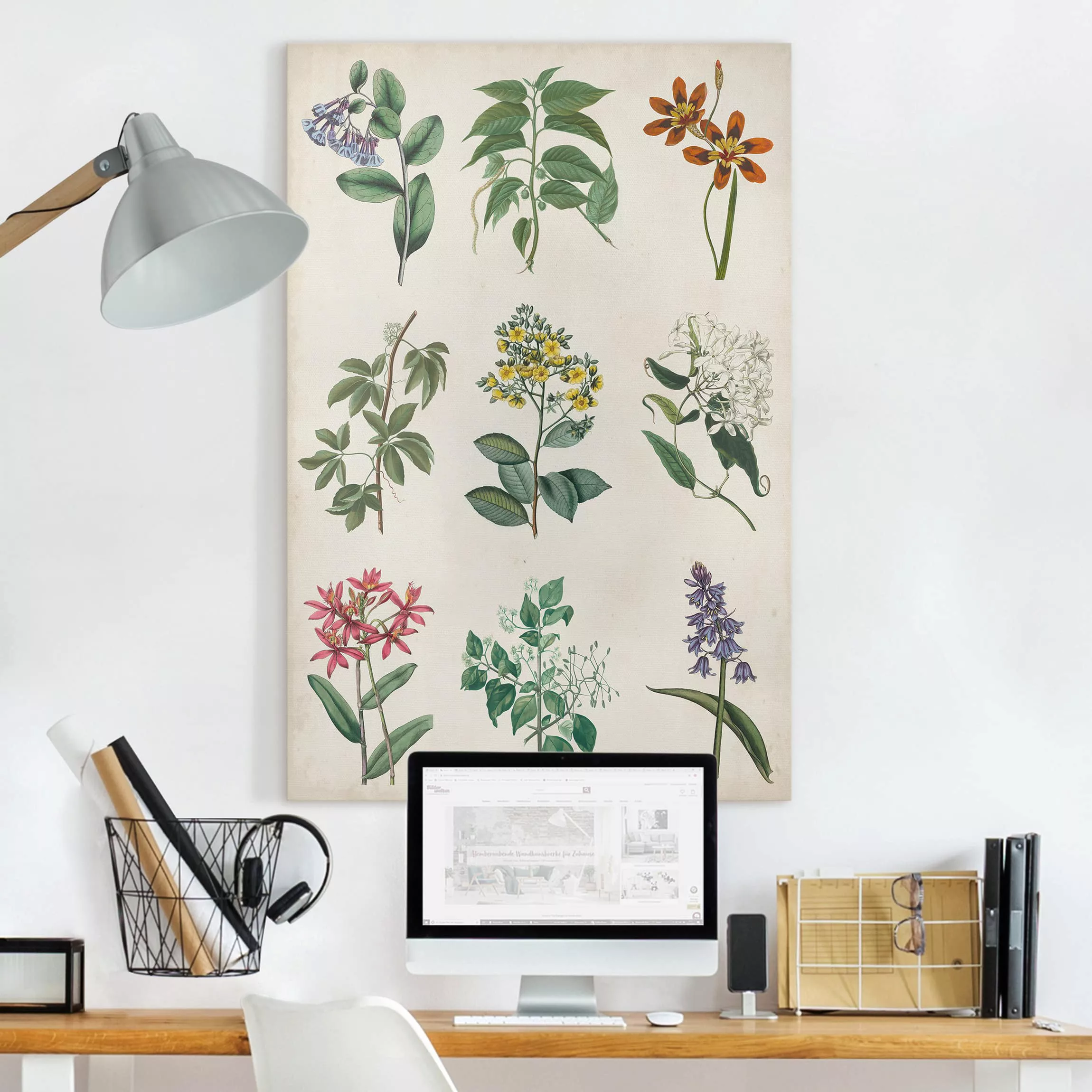 Leinwandbild Botanik - Hochformat Botanische Schautafel I günstig online kaufen