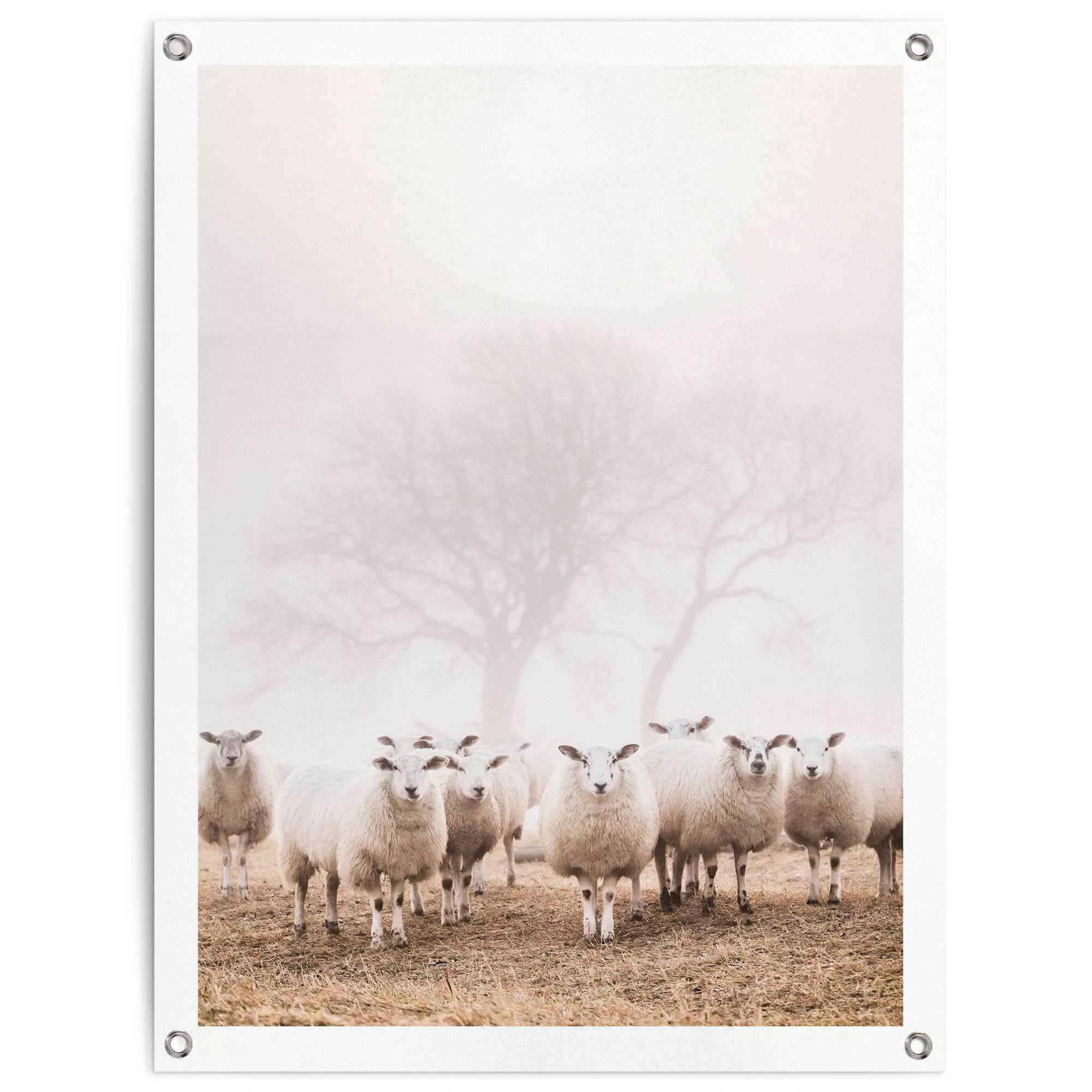 Reinders Poster "Schafe im Nebel", Outdoor für Garten oder Balkon günstig online kaufen