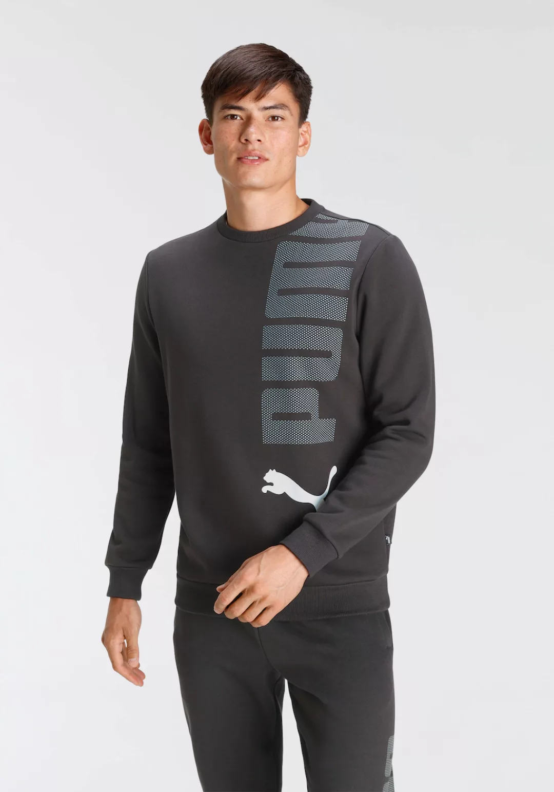 PUMA Sweatshirt ESS+ LOGO LAB Crew FL günstig online kaufen