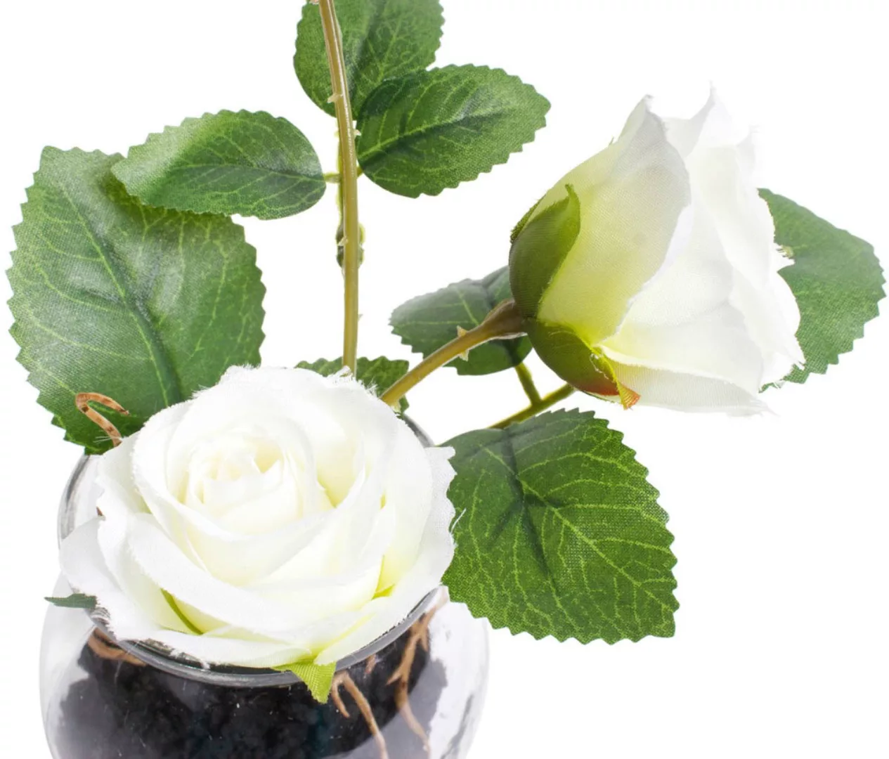 Botanic-Haus Kunstblume "Rosen im Glas" günstig online kaufen